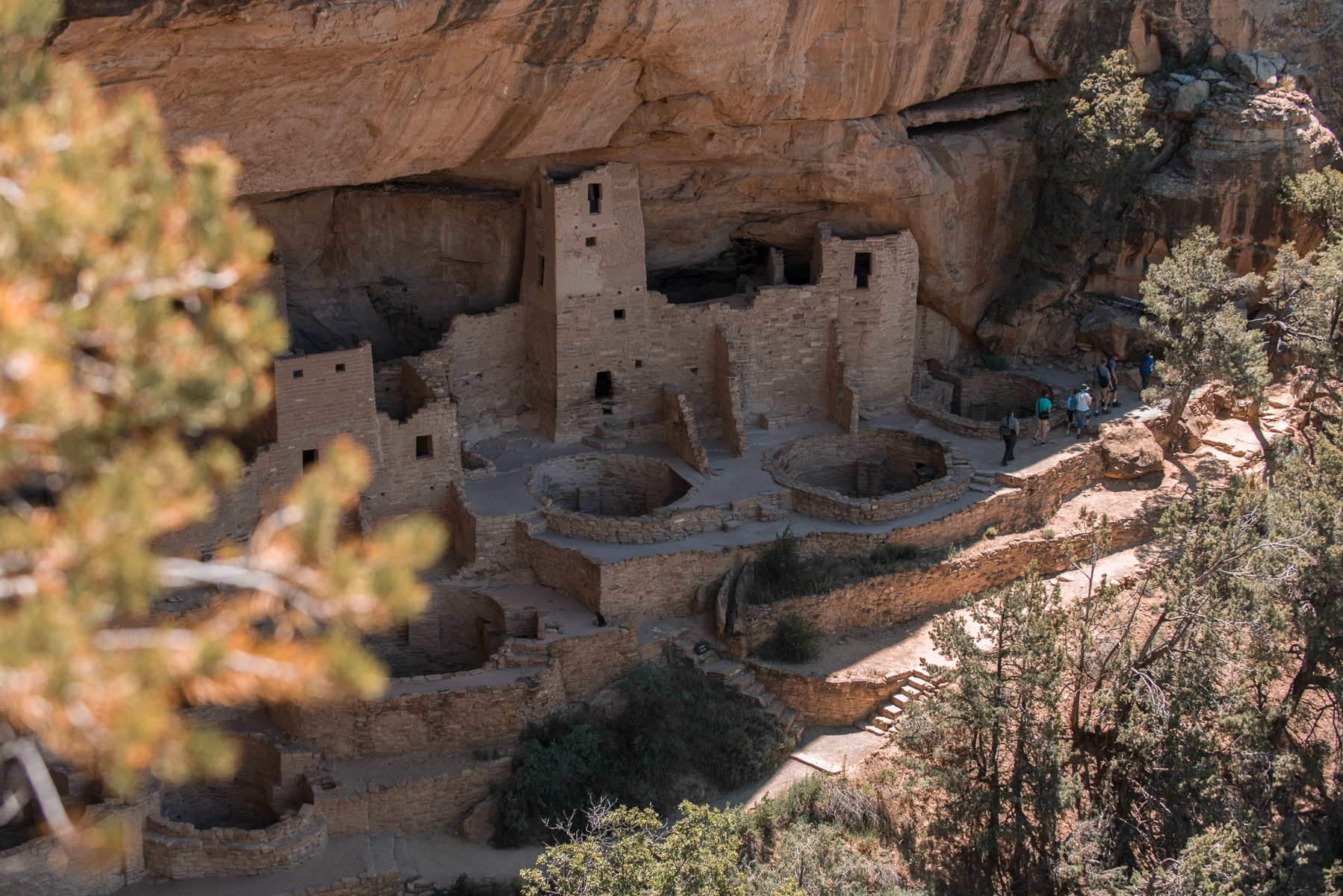 Mesa Verde National Park