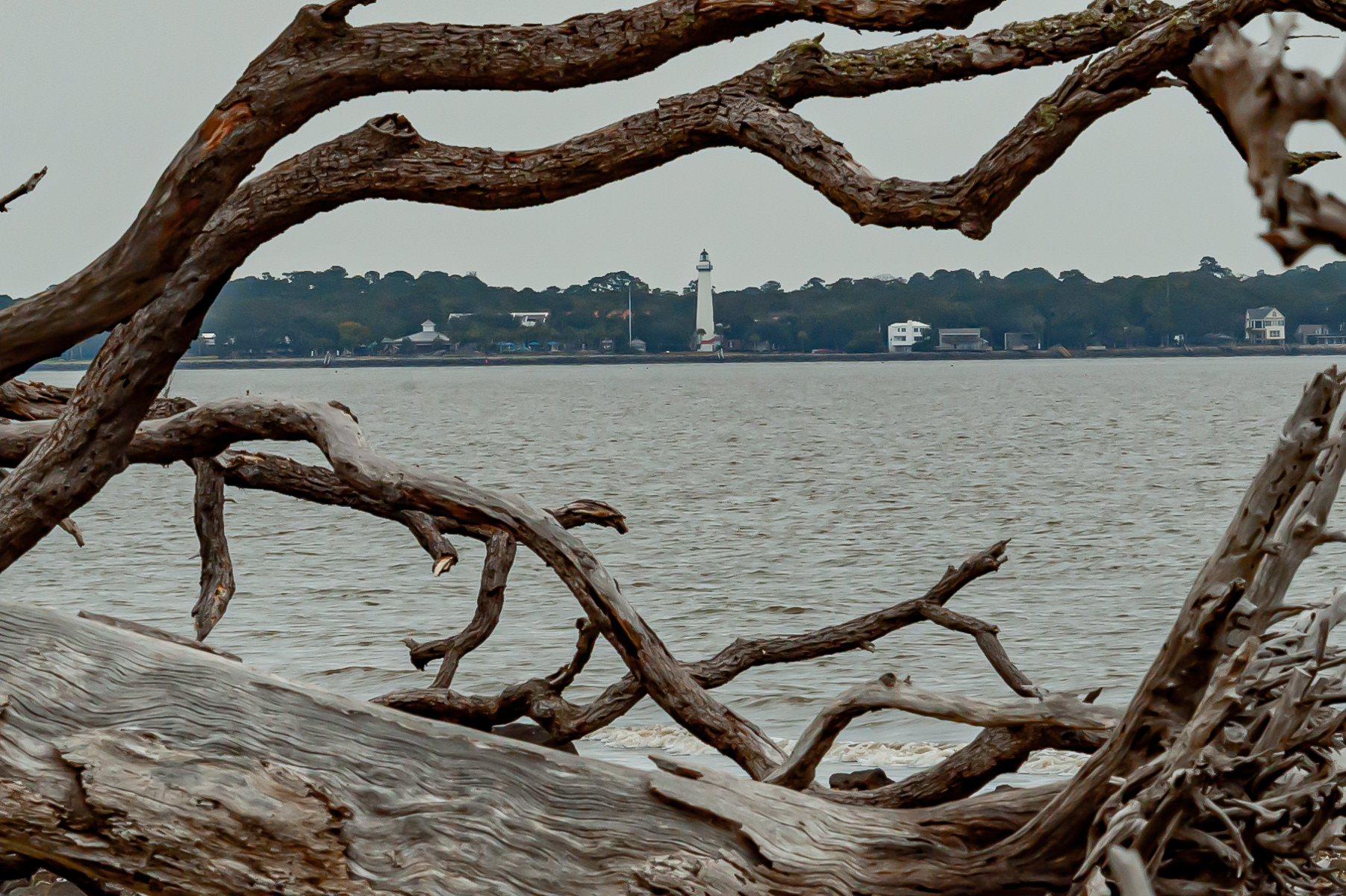 St. Simons Lighthouse from Driftwood Beach, Jekyll Island