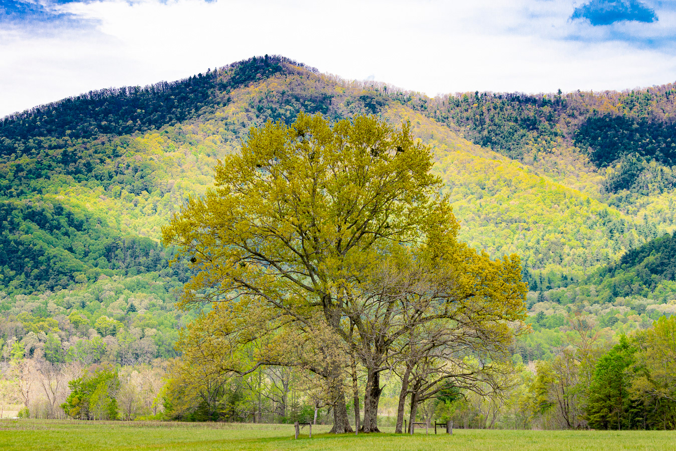 Cades Cove Loop Road