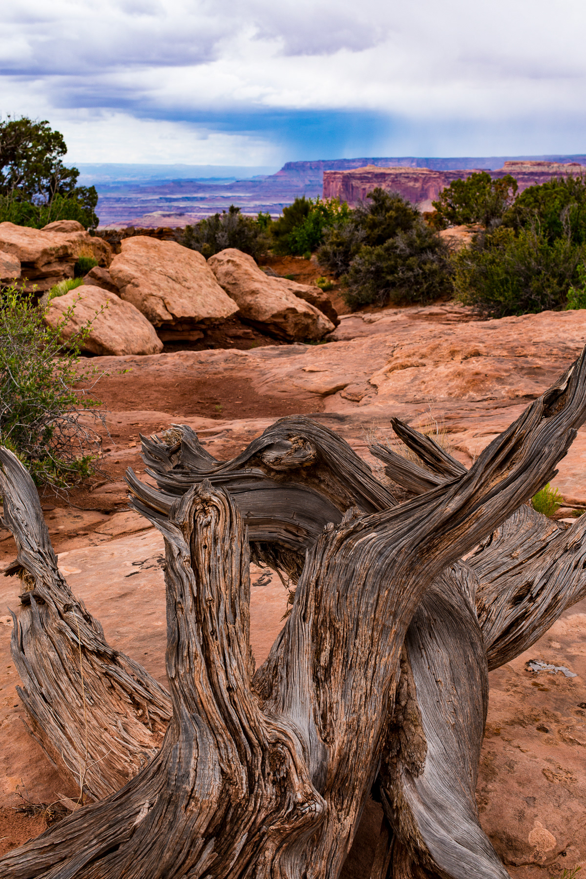 Dead Horse Point State Park, Moab