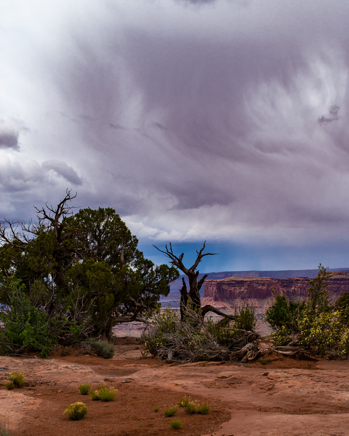 Dead Horse Point State Park, Moab