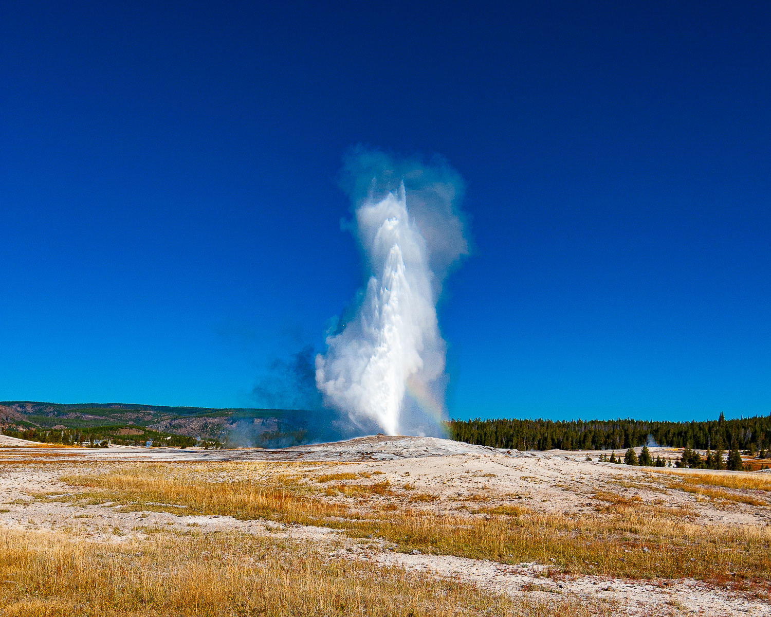 Old Faithful, Yellowstone National Park