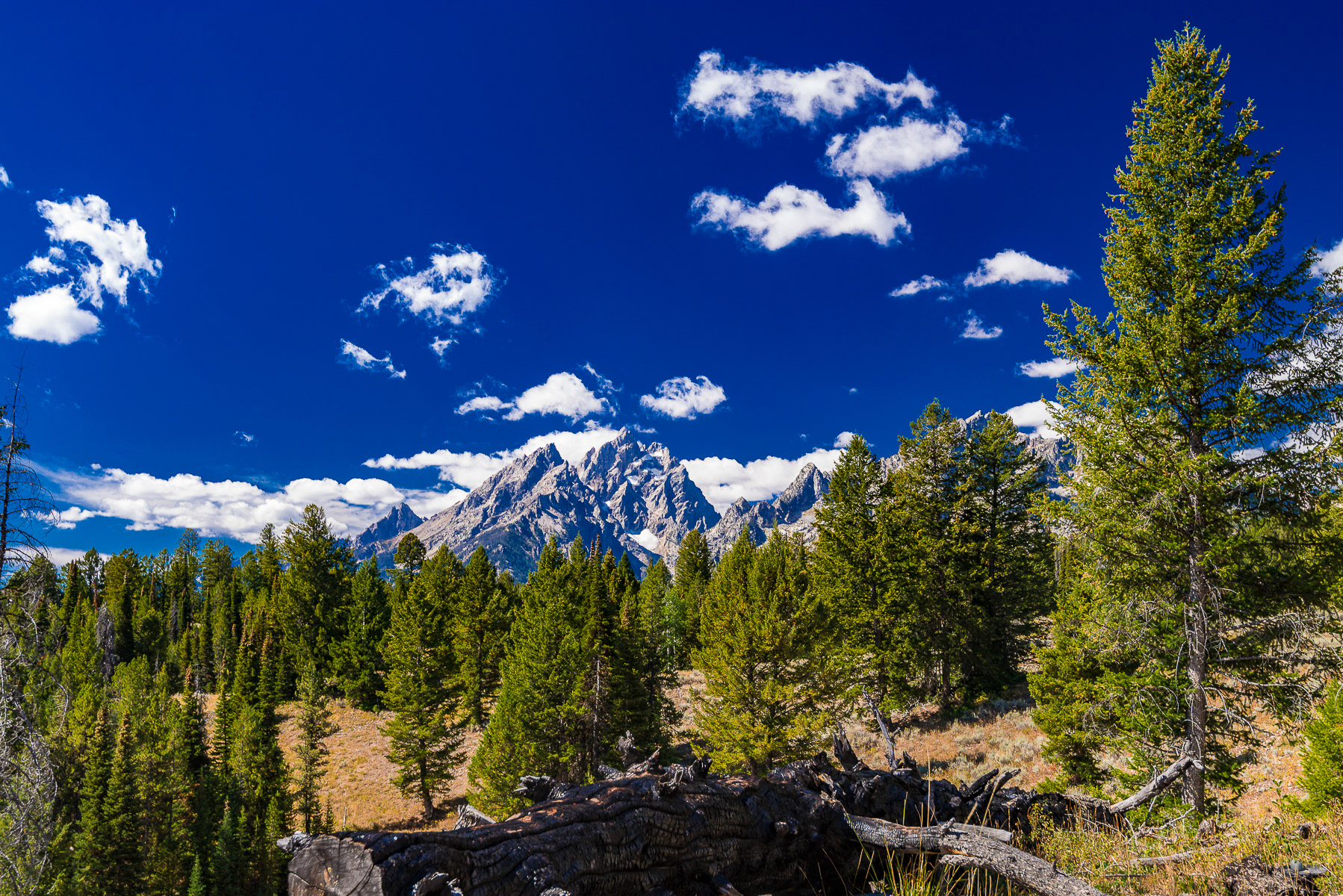 Grand Tetons National Park
