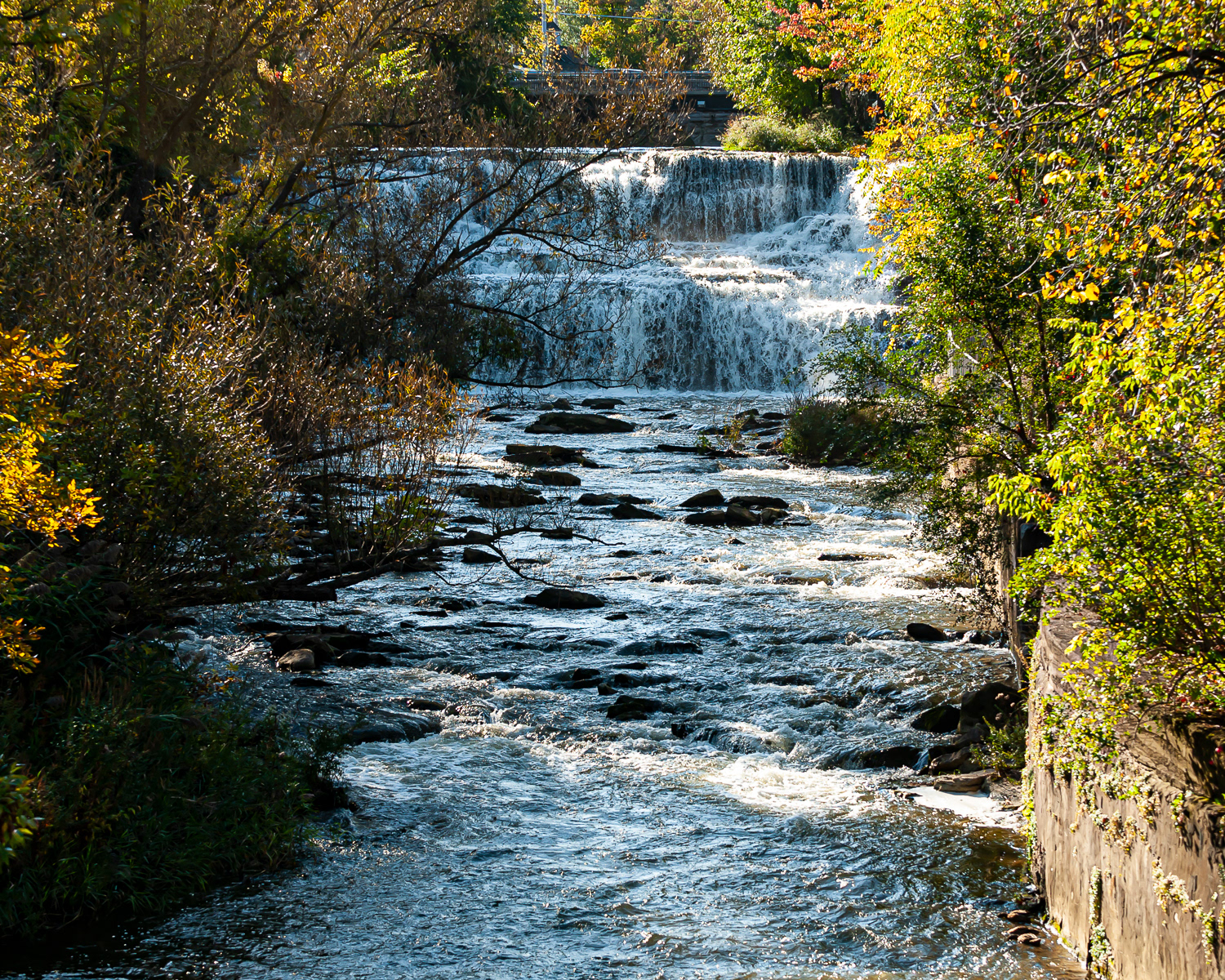 Unknown, Niagara Falls area