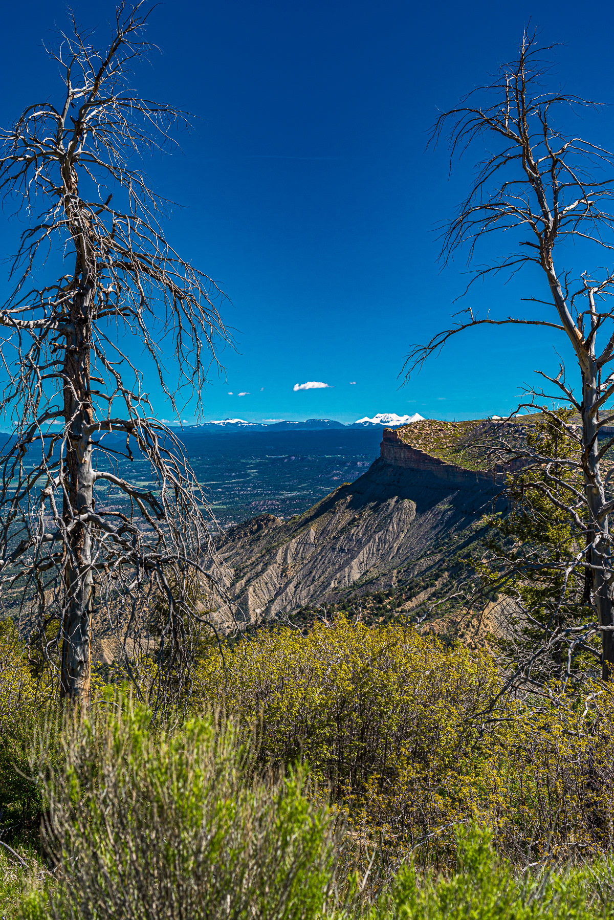 Mesa Verde National Park
