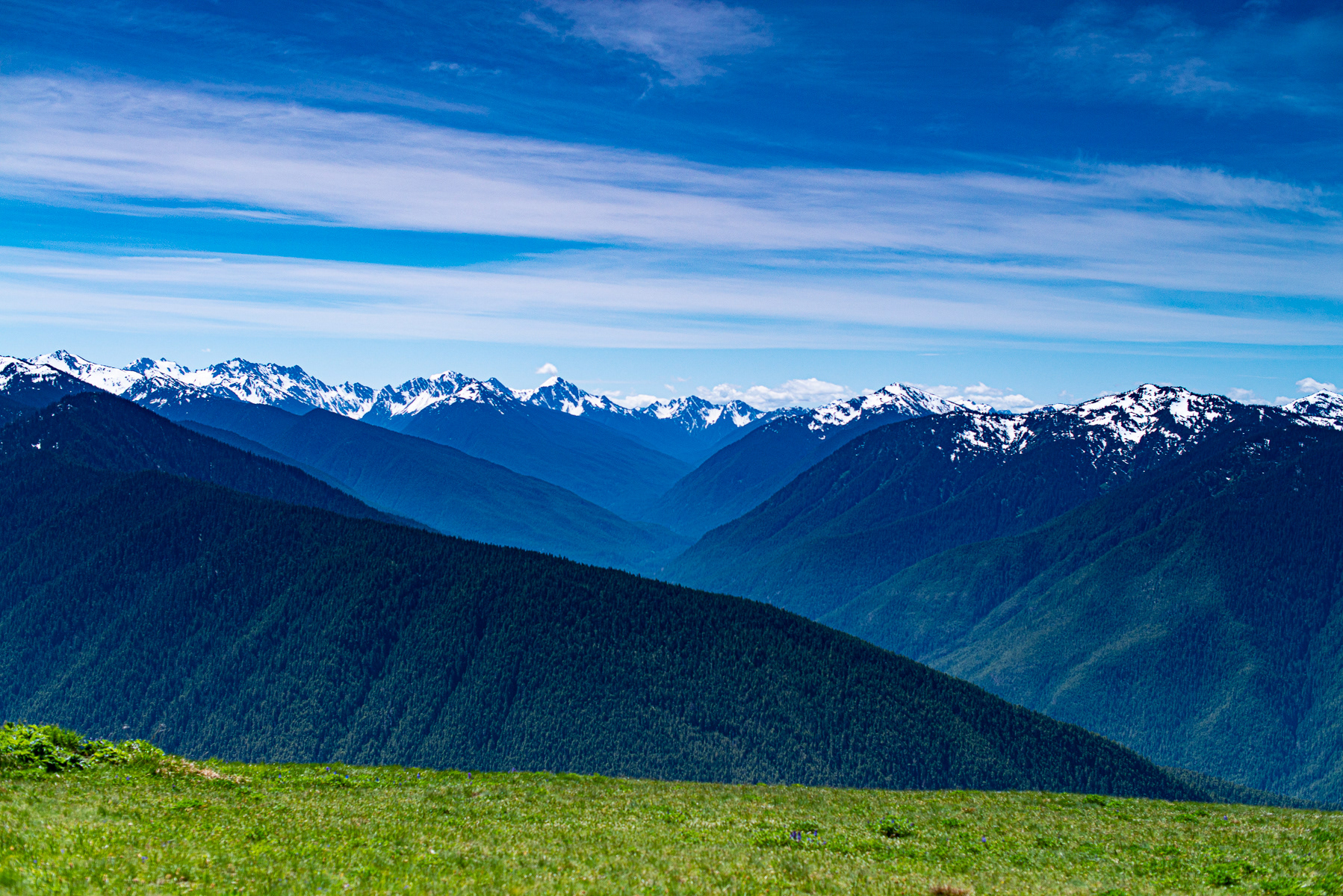 Olympic National Park