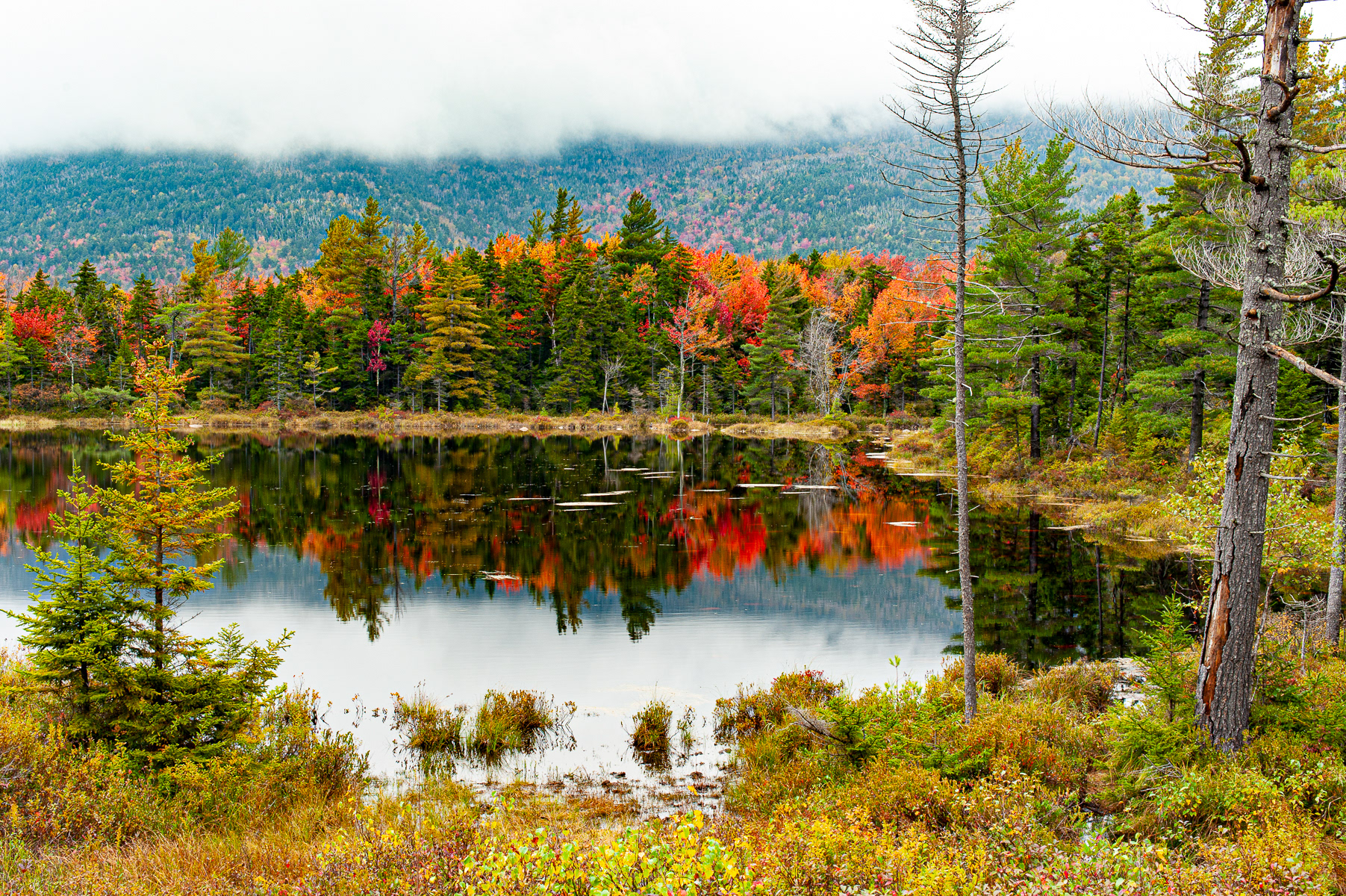 Lilly Pond, Kancamagus Hwy Bartlett