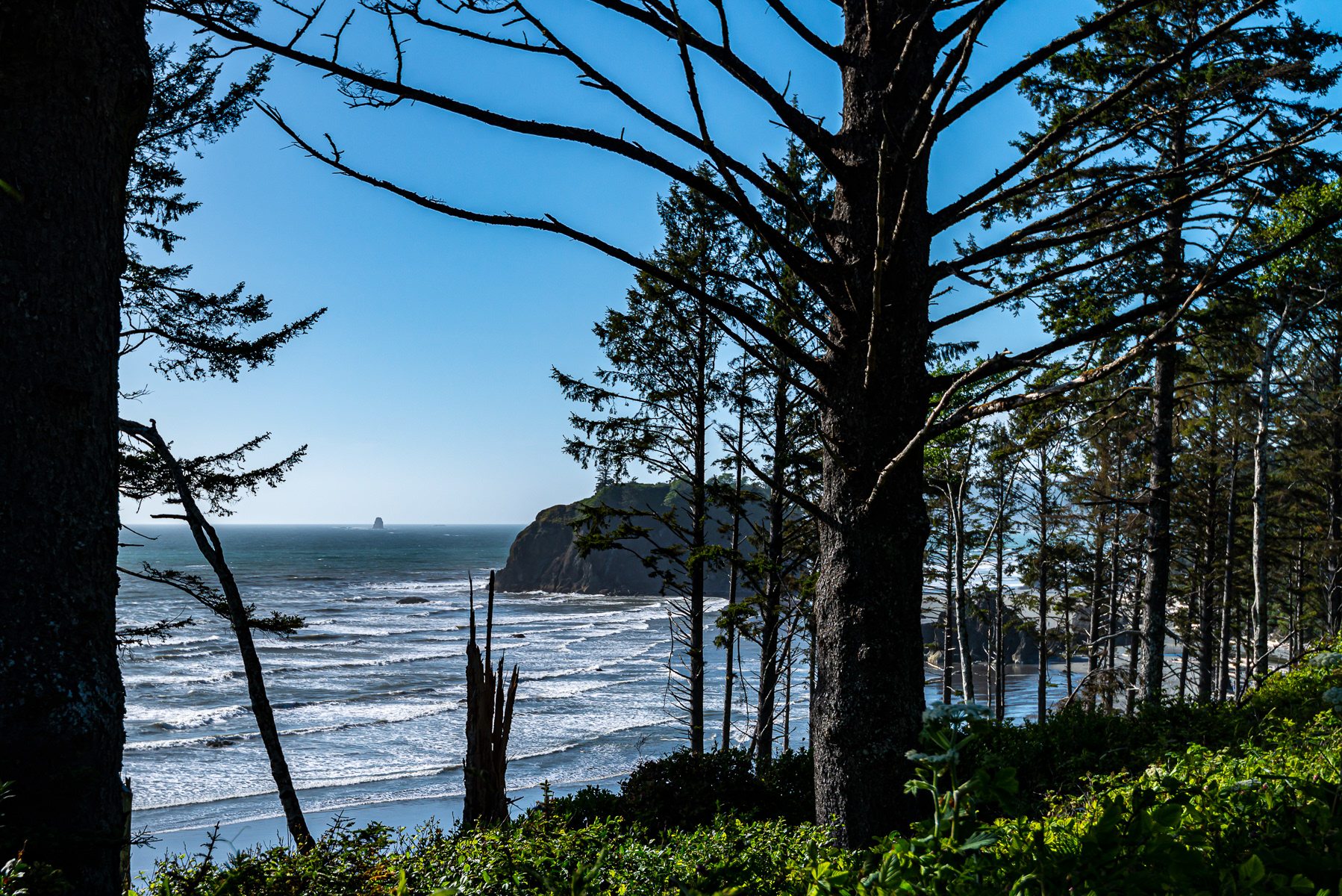 Olympic National Park