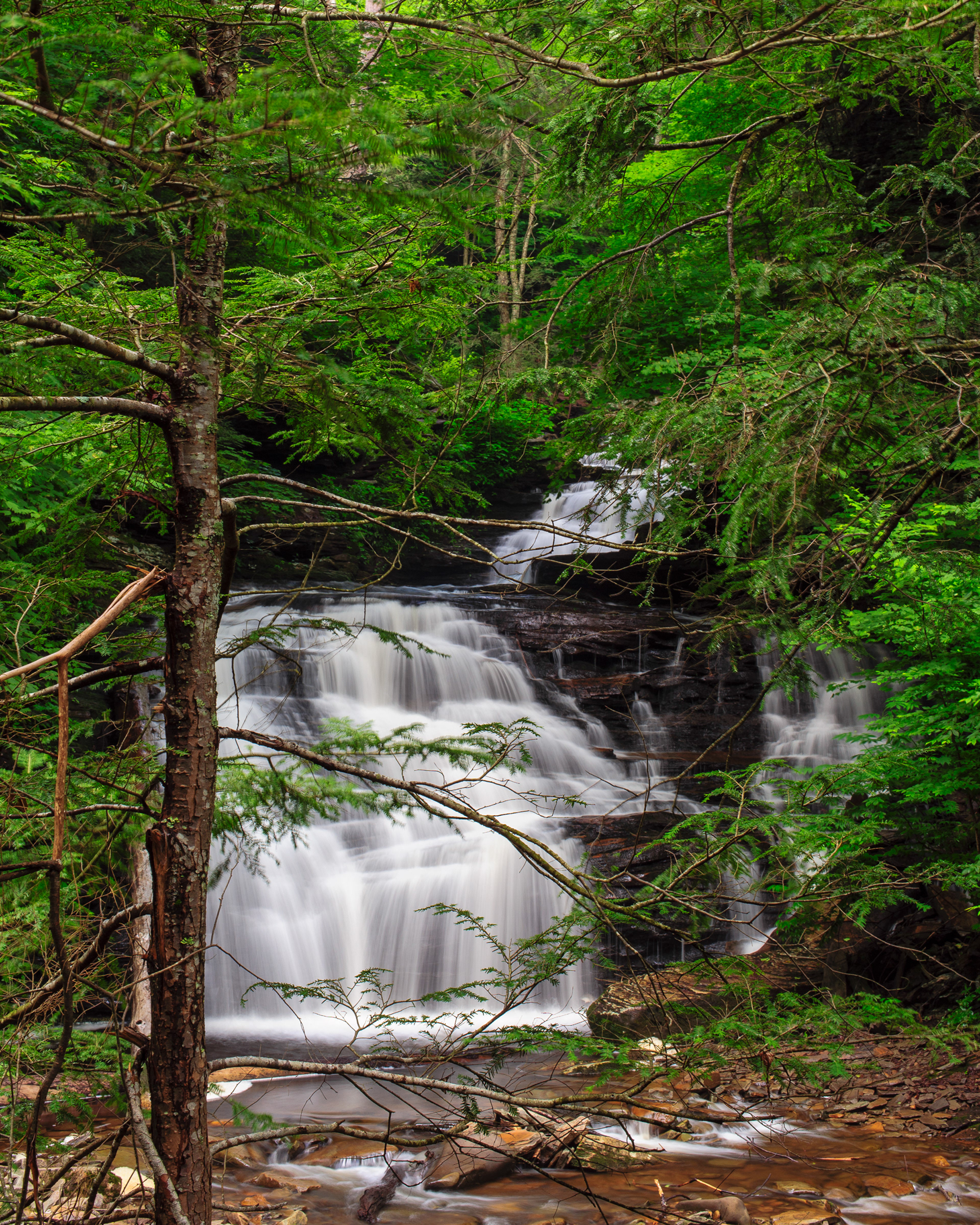 Mohican Falls, Ricketts Glen State Park