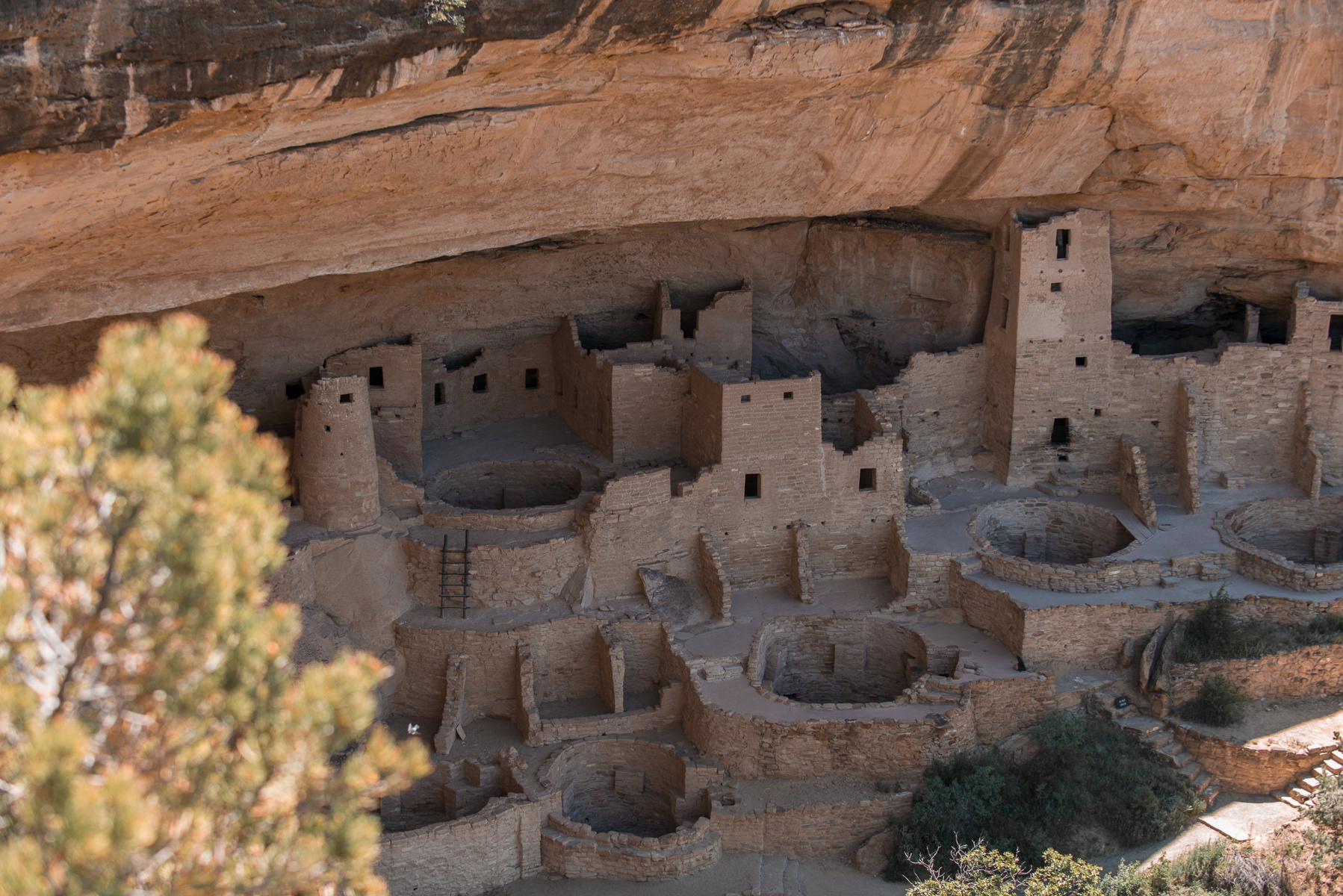 Mesa Verde National Park