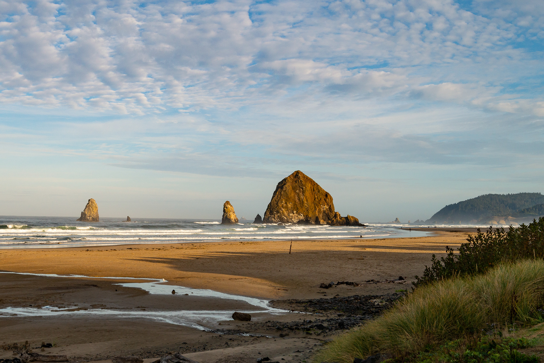 Haystack Rock, Cannon Beach 