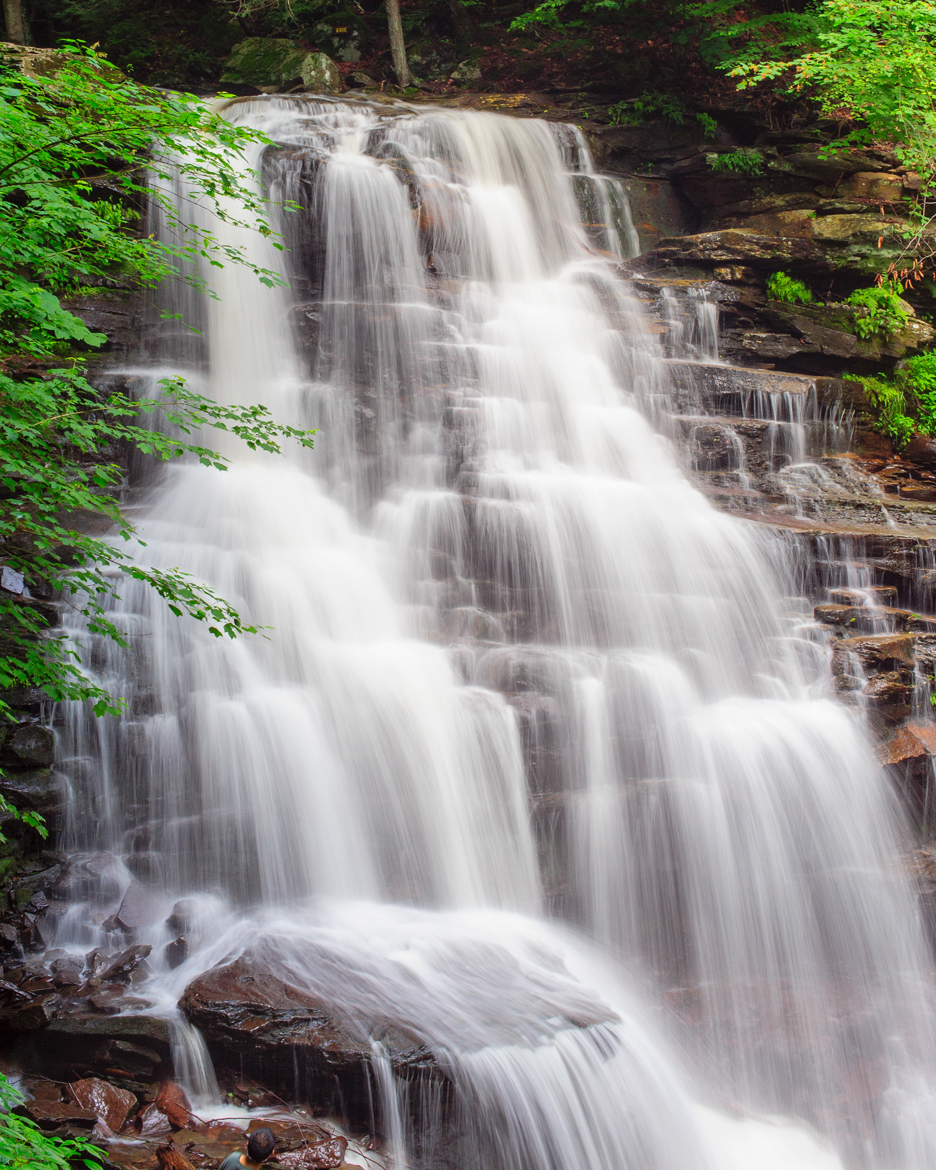 Erie Falls, Ricketts Glen State Park
