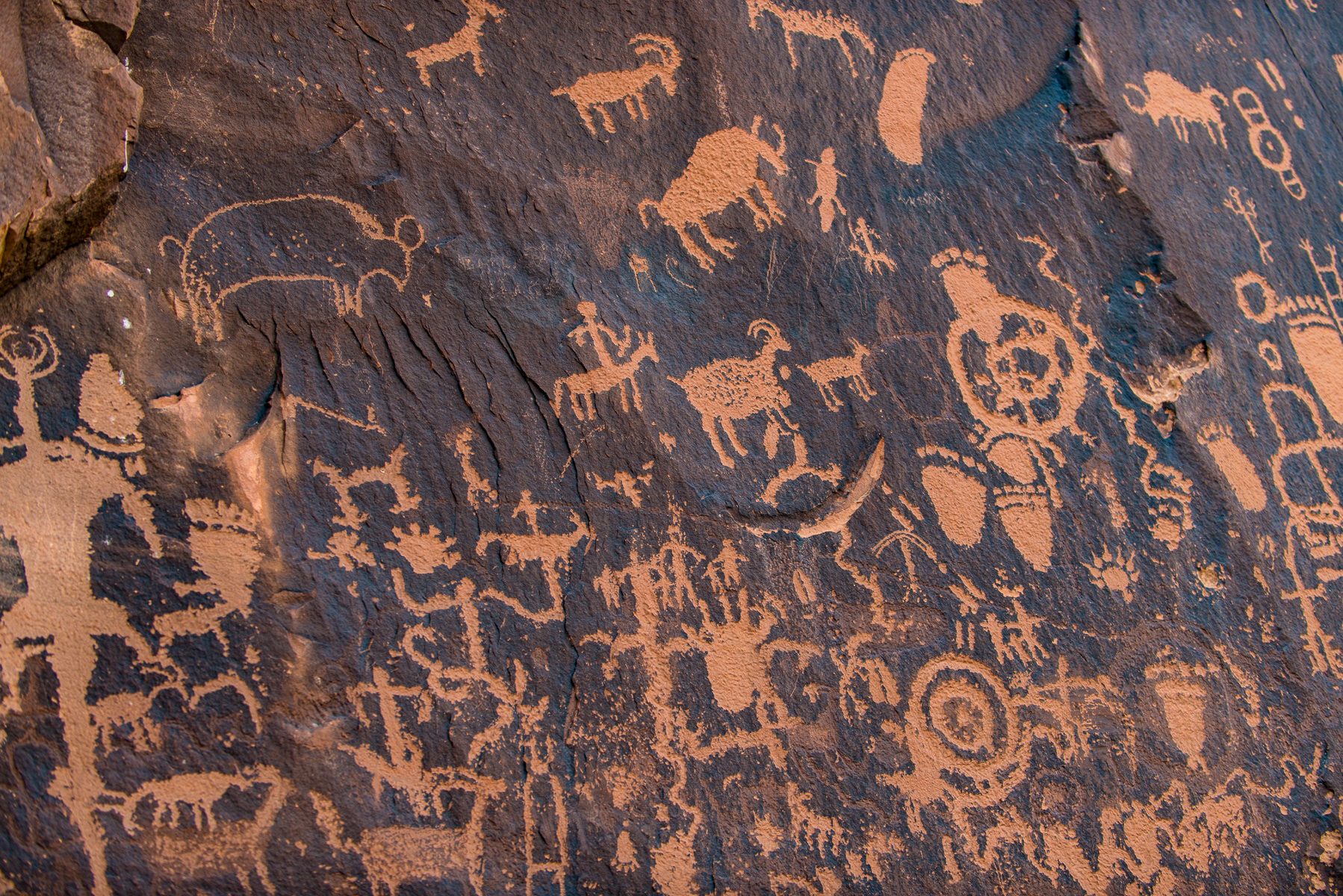 Newspaper Rock State Historical Monument, Monticello