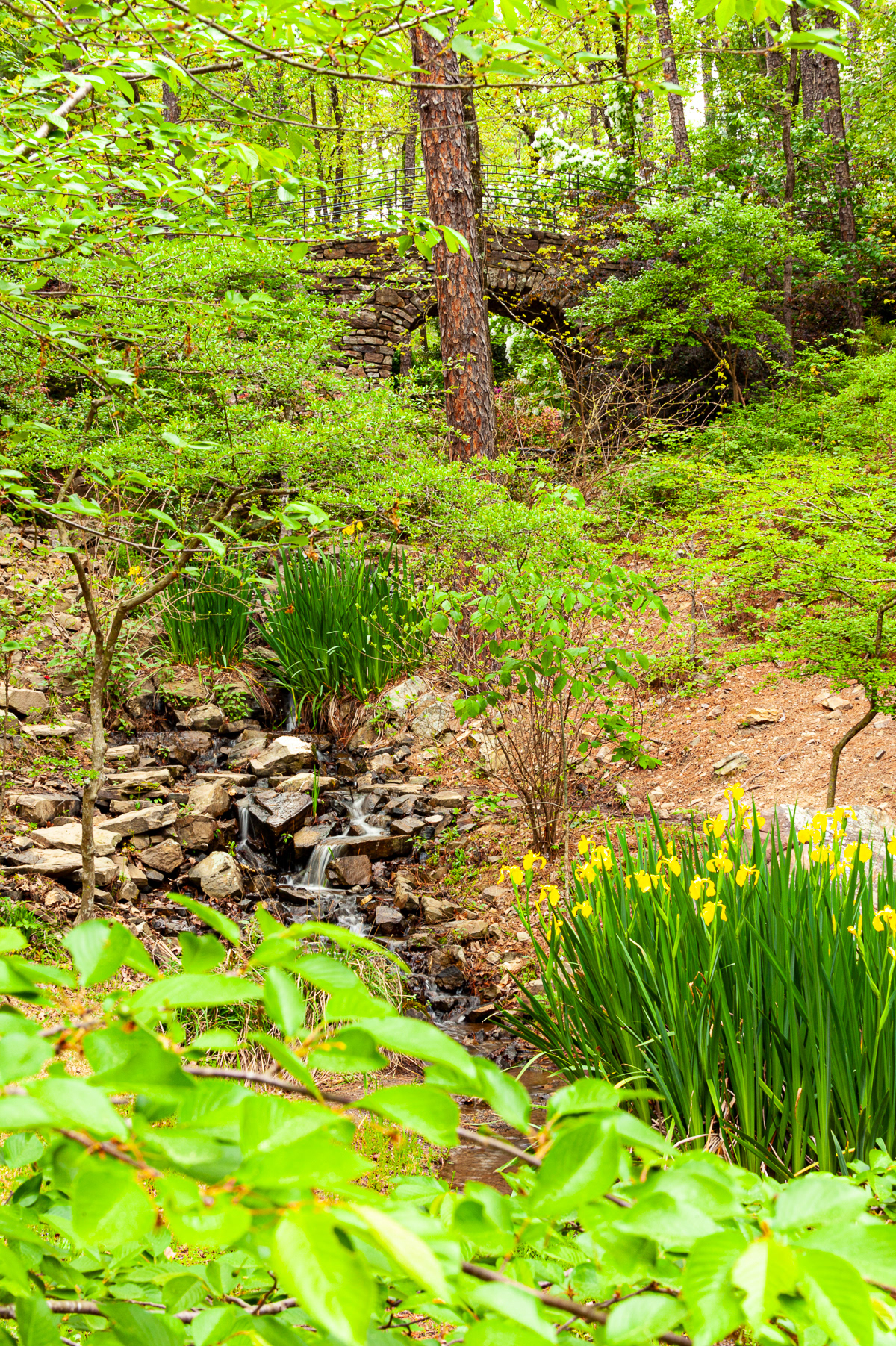 Garvan Gardens, Hot Springs