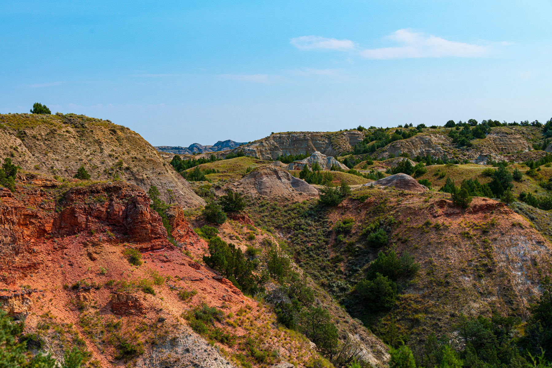 Teddy Roosevelt National Park