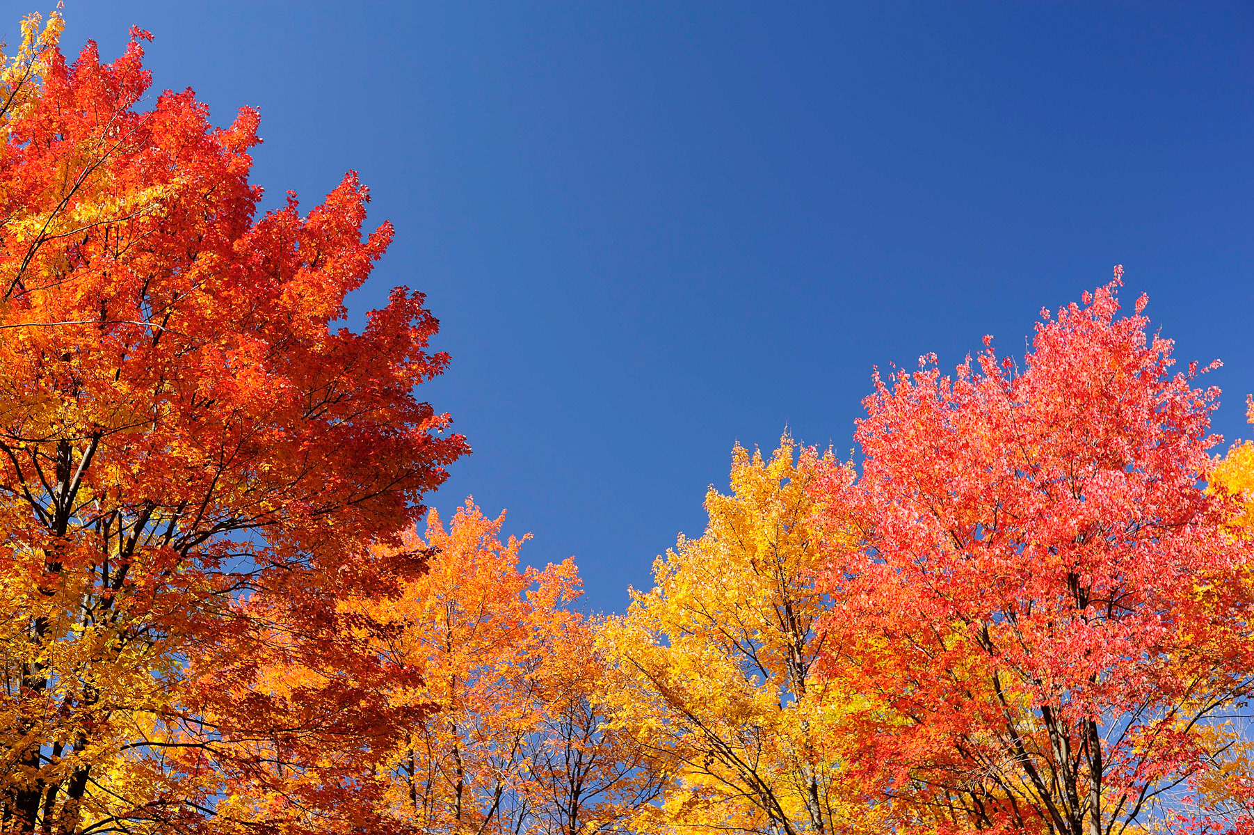 North Central Pennsylvania