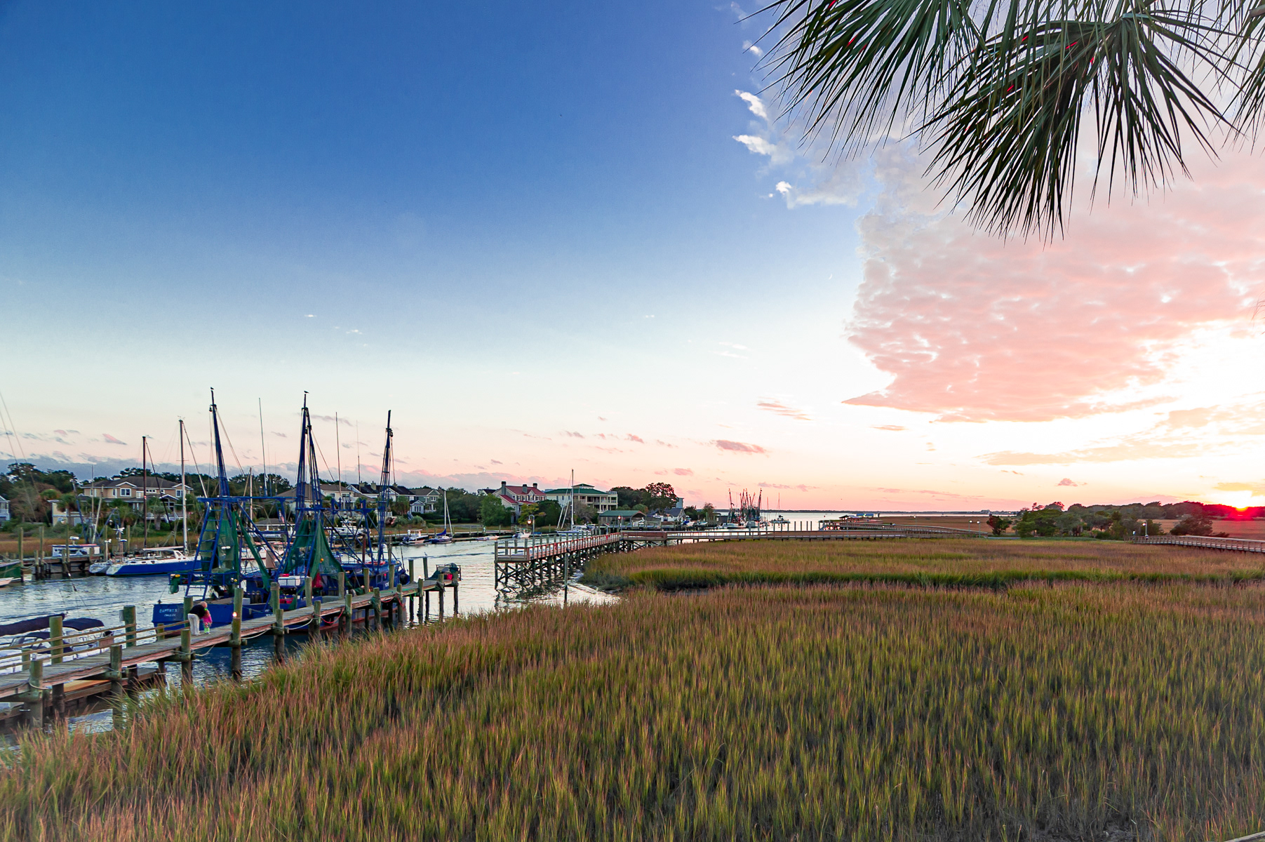 Coastal South Carolina