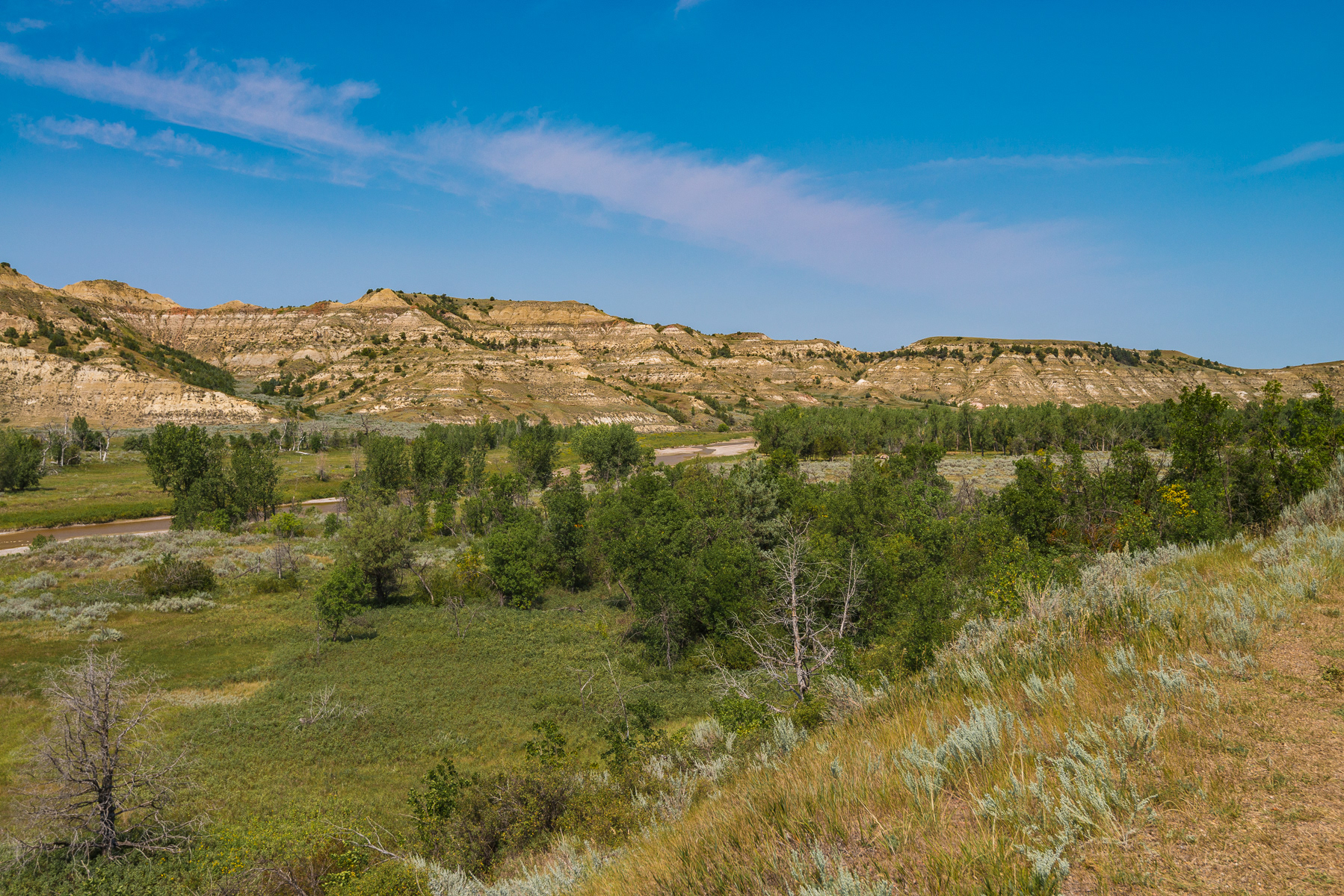 Teddy Roosevelt National Park