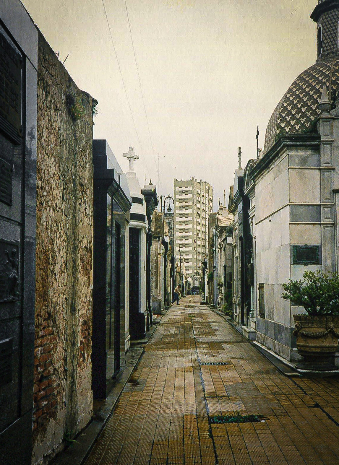 レコレータ墓地