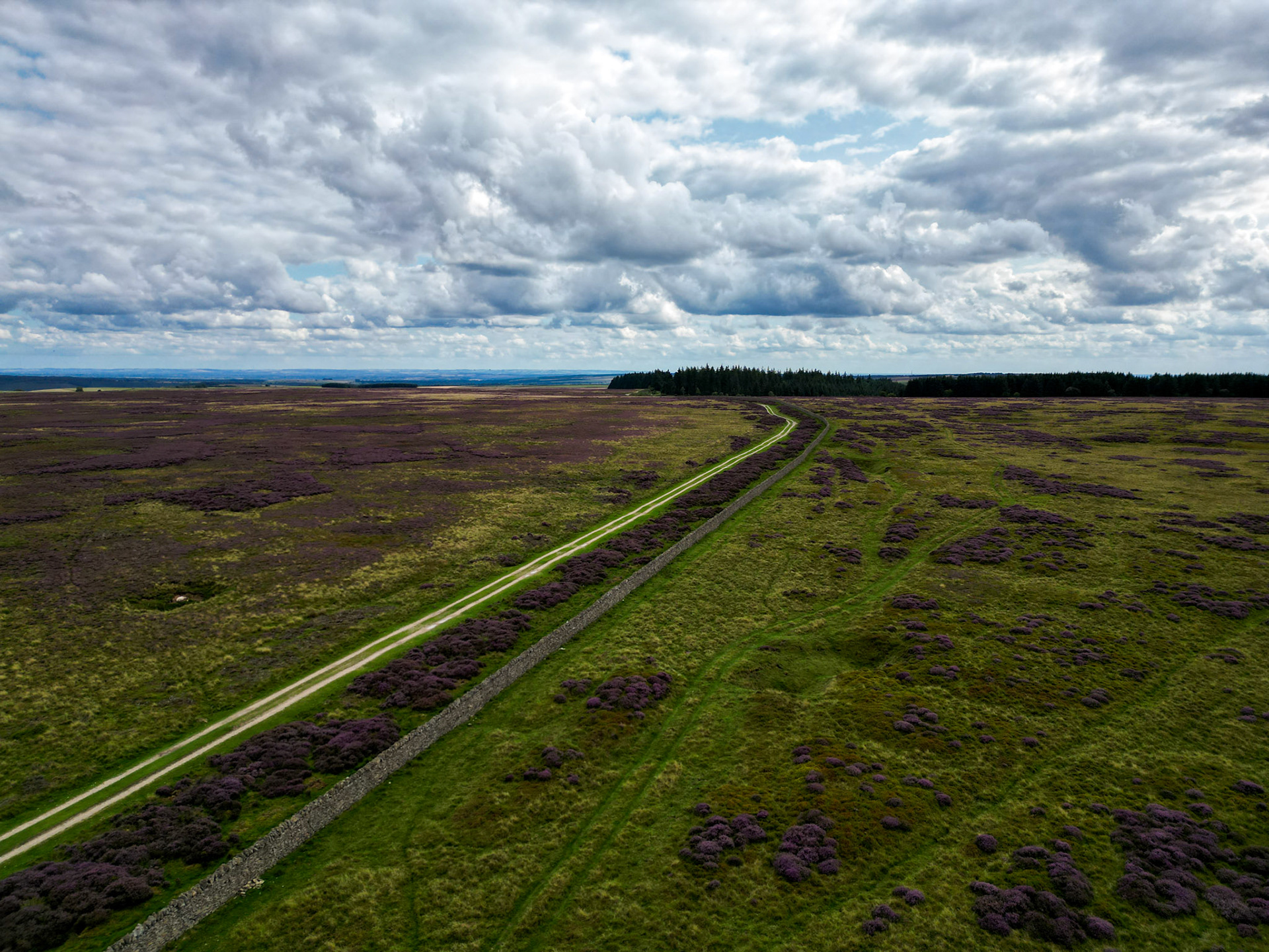 Cleveland Way, North Yorkshire Moors