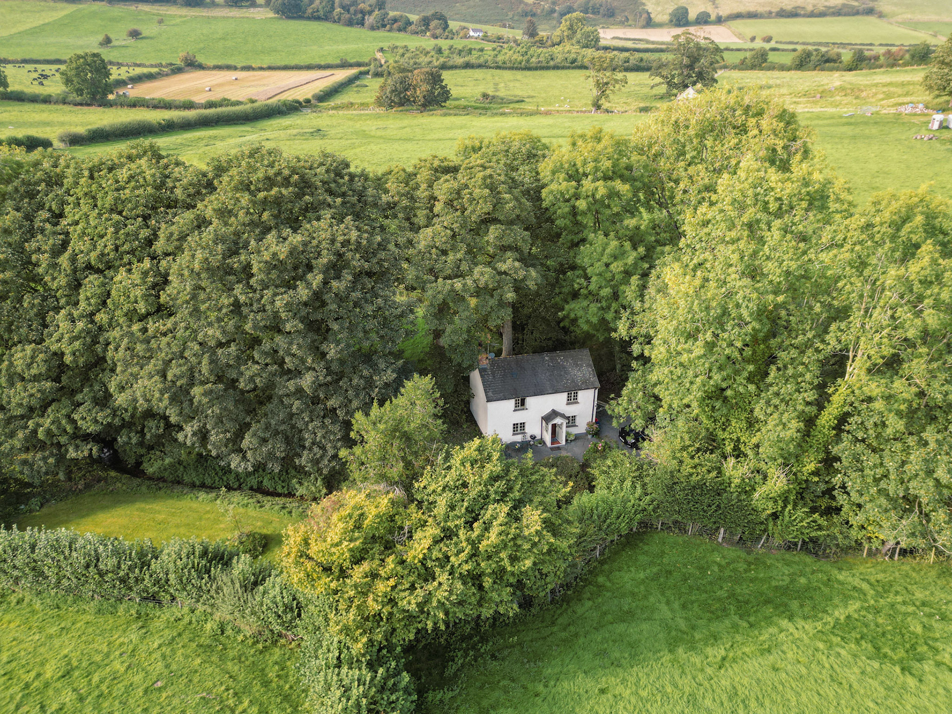Highbrook Cottage, Presteigne, Wales