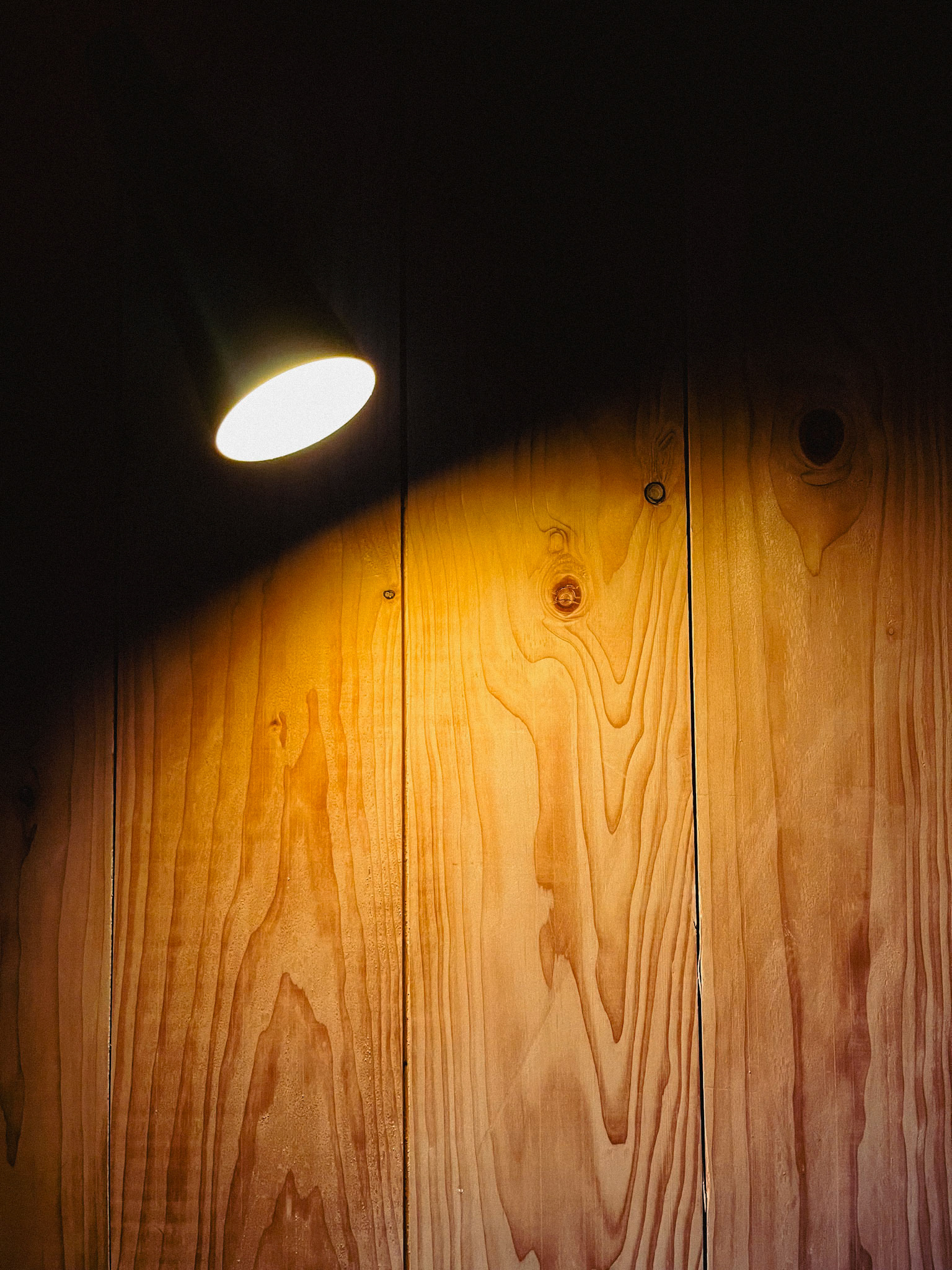 Lighting, Wilderkin