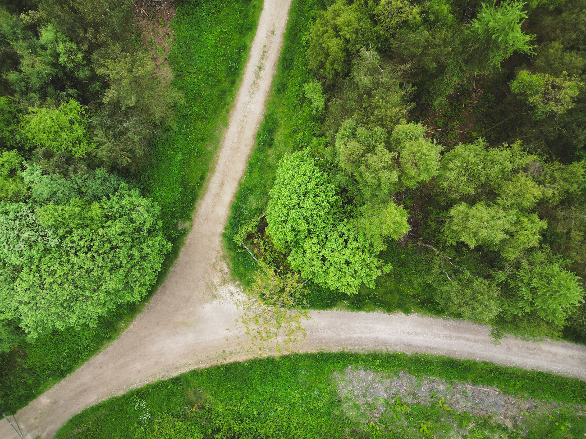 Forked path, North Yorkshire