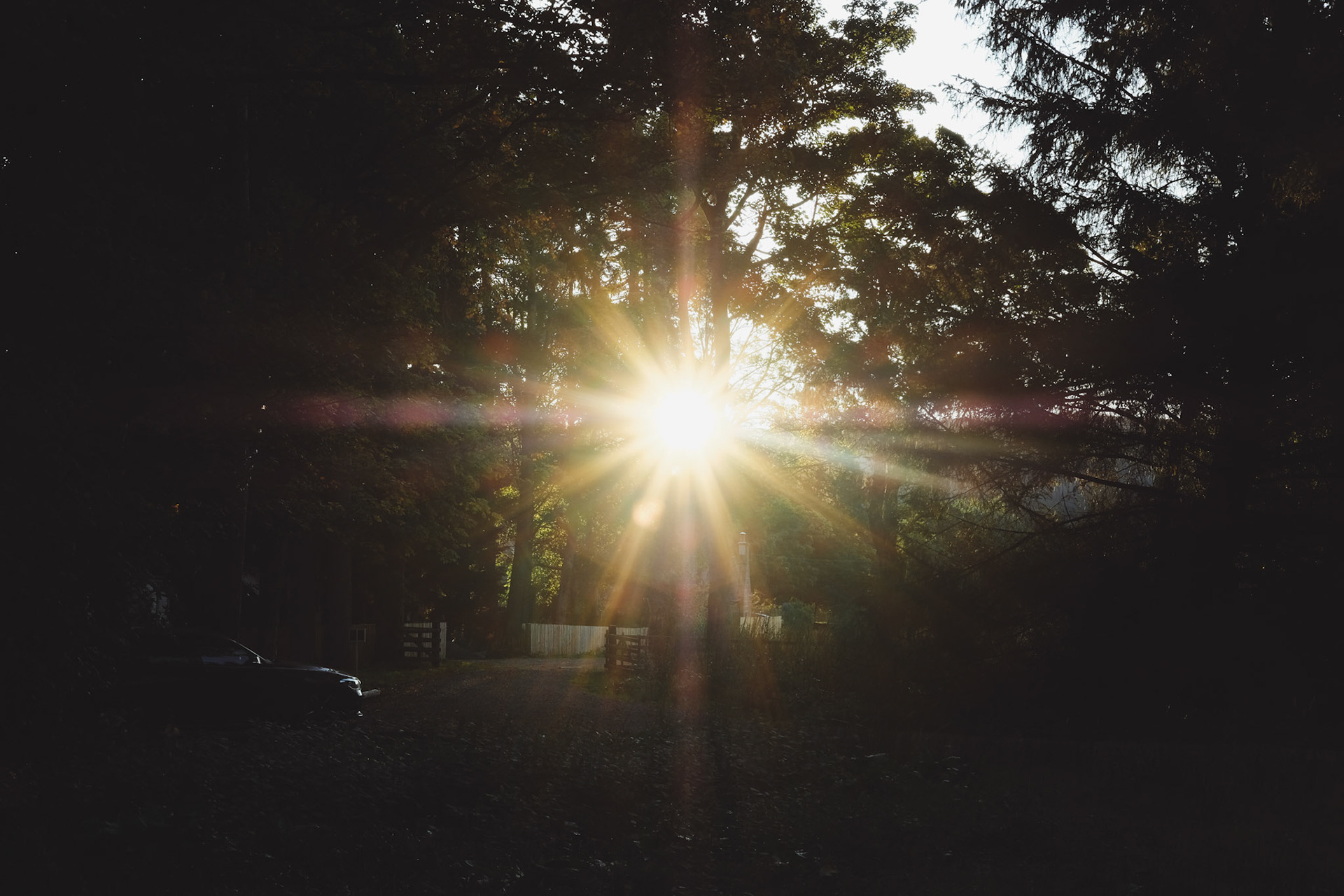 Sunburst, Glen Dye
