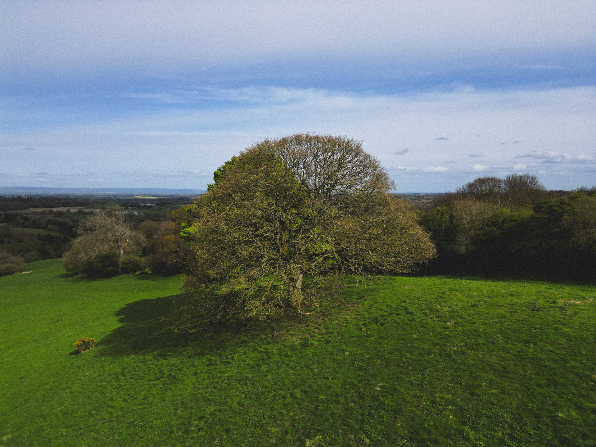 Hackfall, North Yorkshire