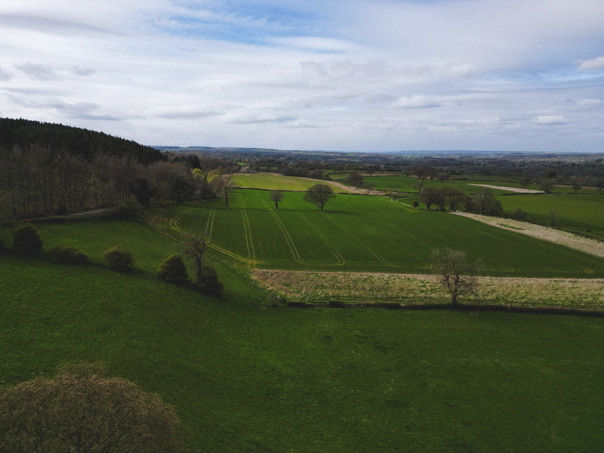 Hackfall, North Yorkshire
