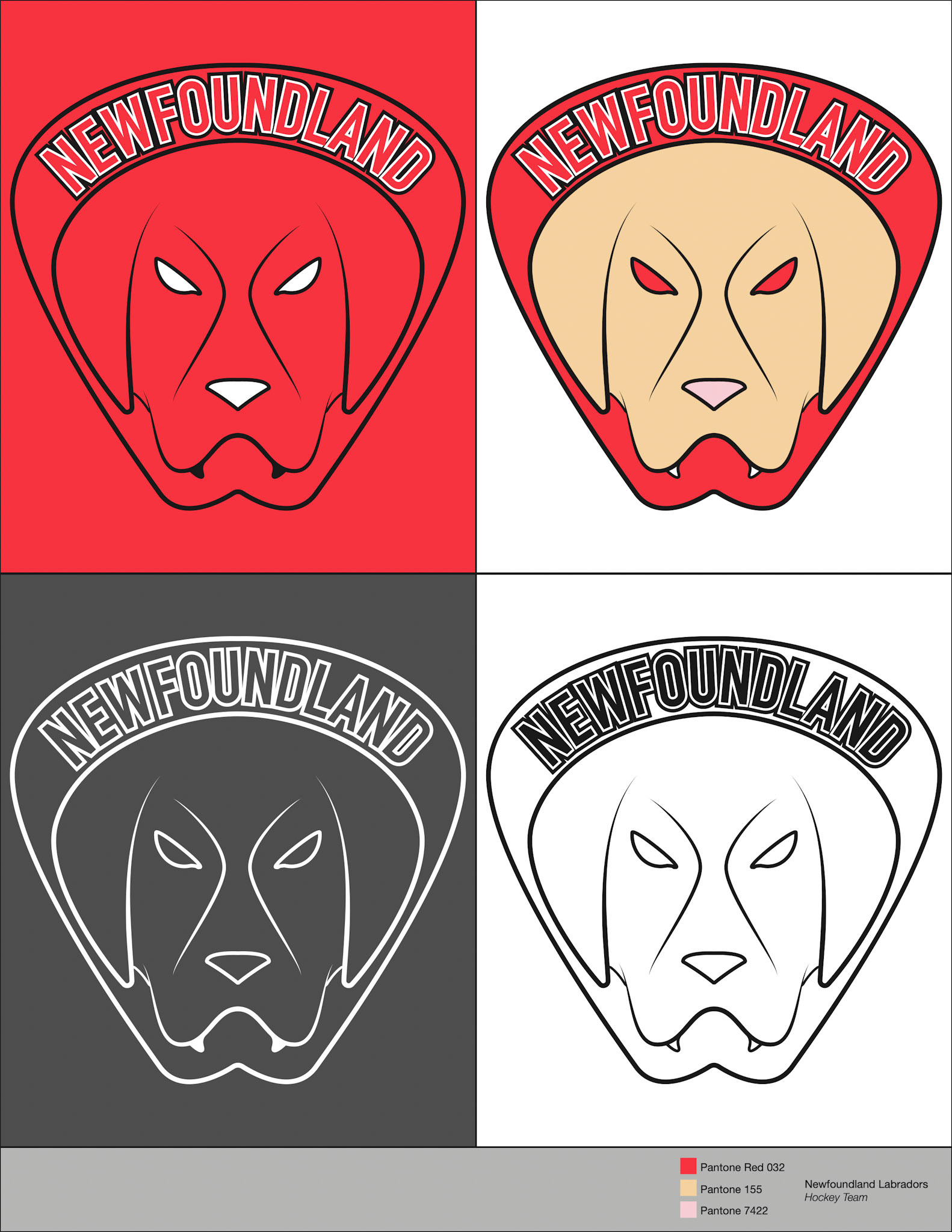 Sports Team Logo, Adobe Illustrator