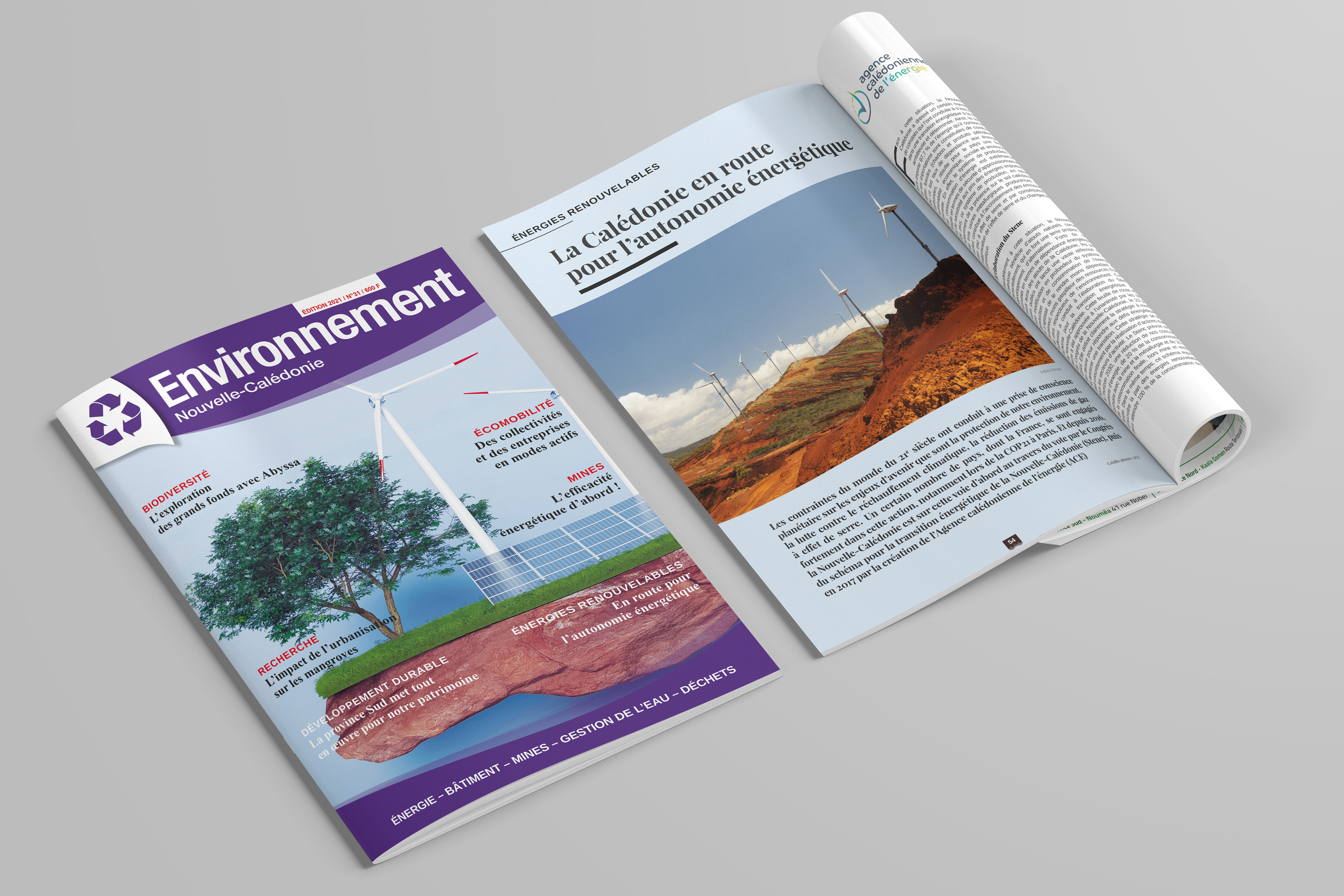 Réalisation du magazine Environnement n°31 (2021) pour AzurMedia.