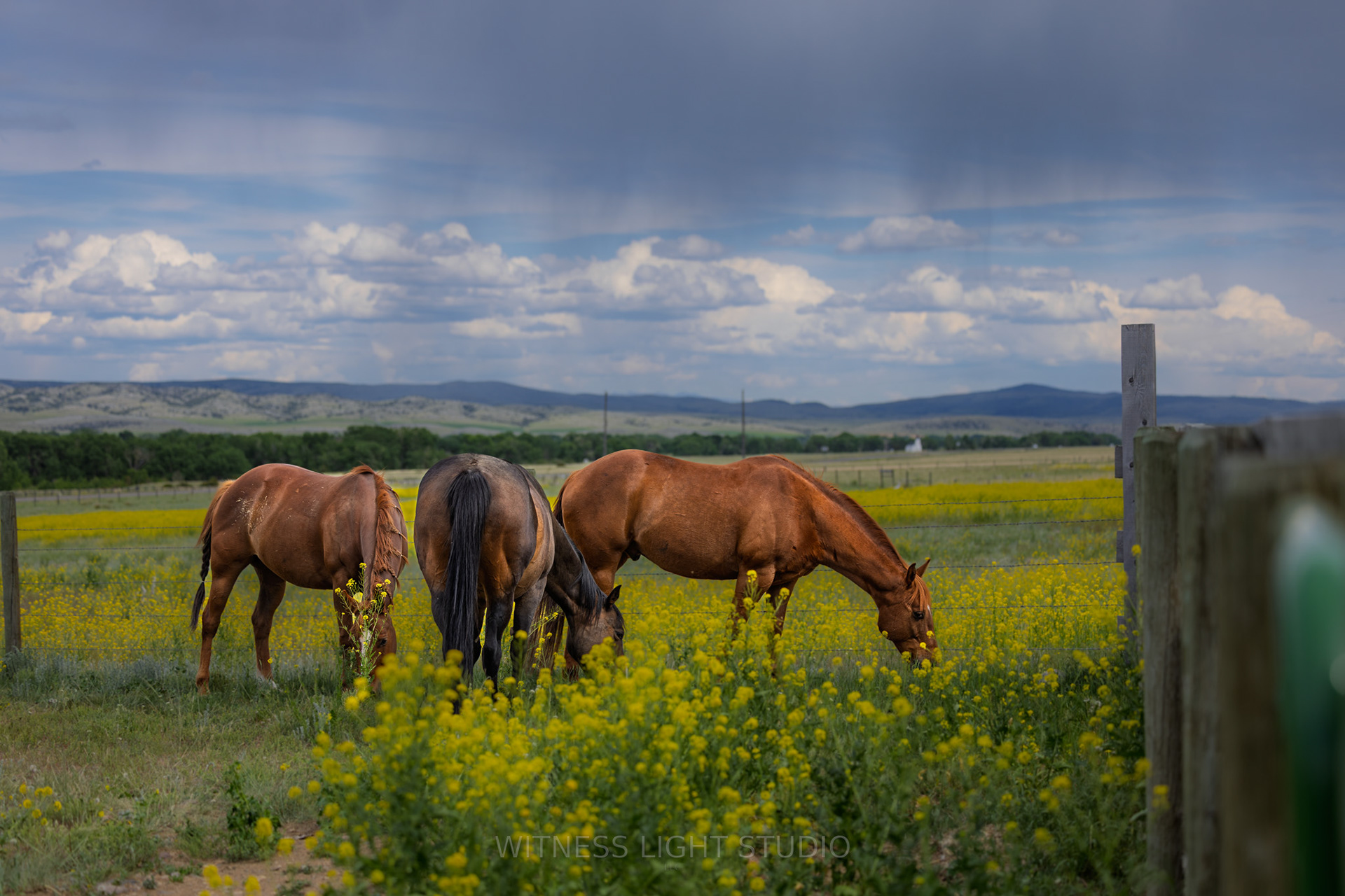 Boulder, MT