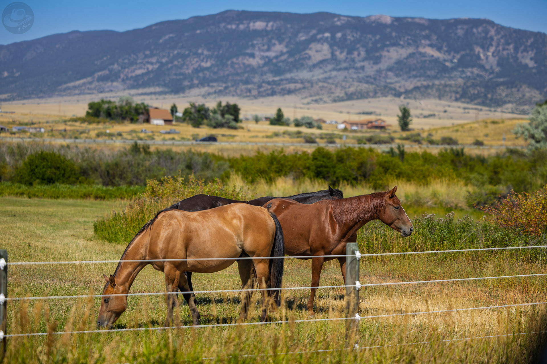 Whitehall, MT