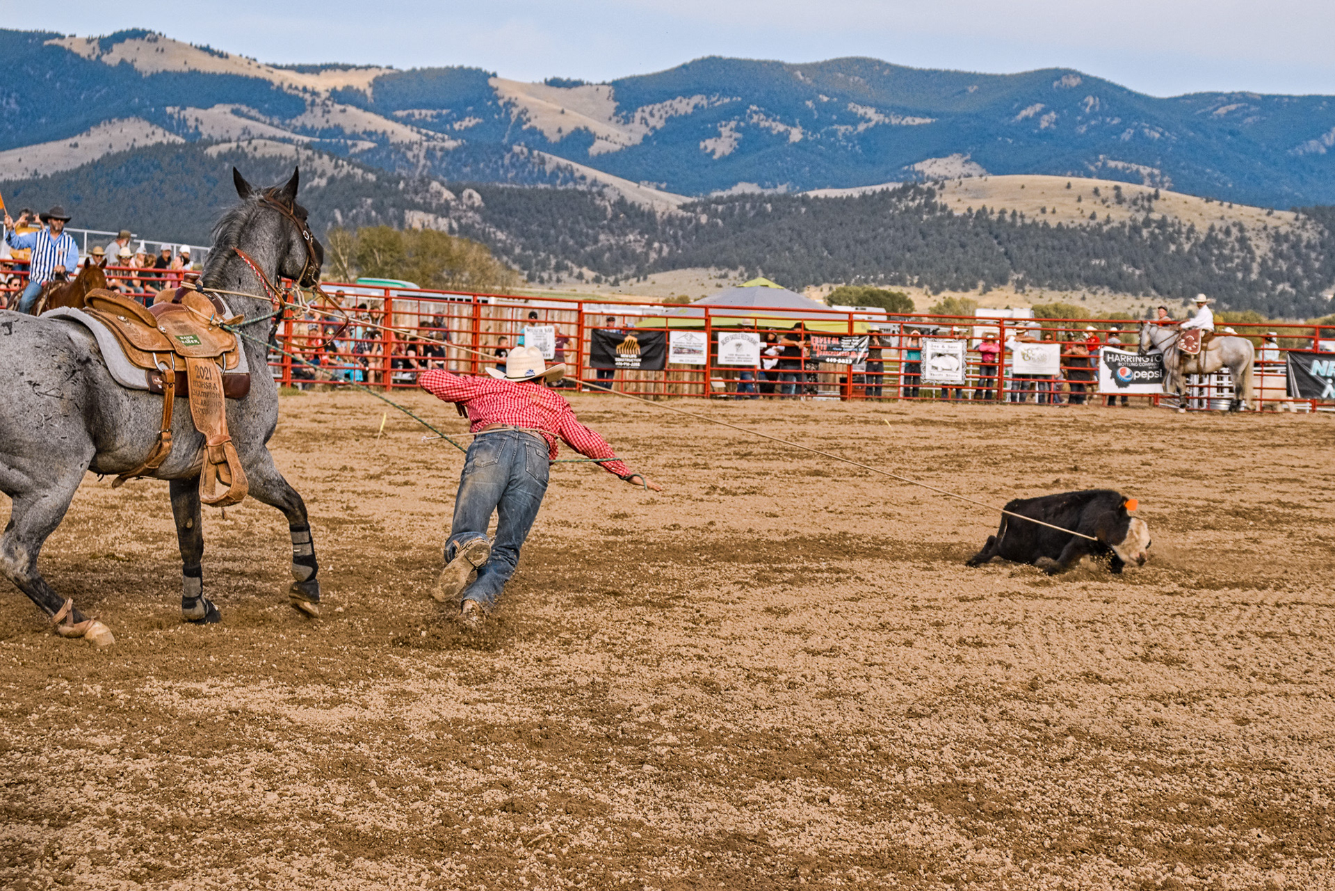 Calf Roping - Jefferson County Fairgrounds