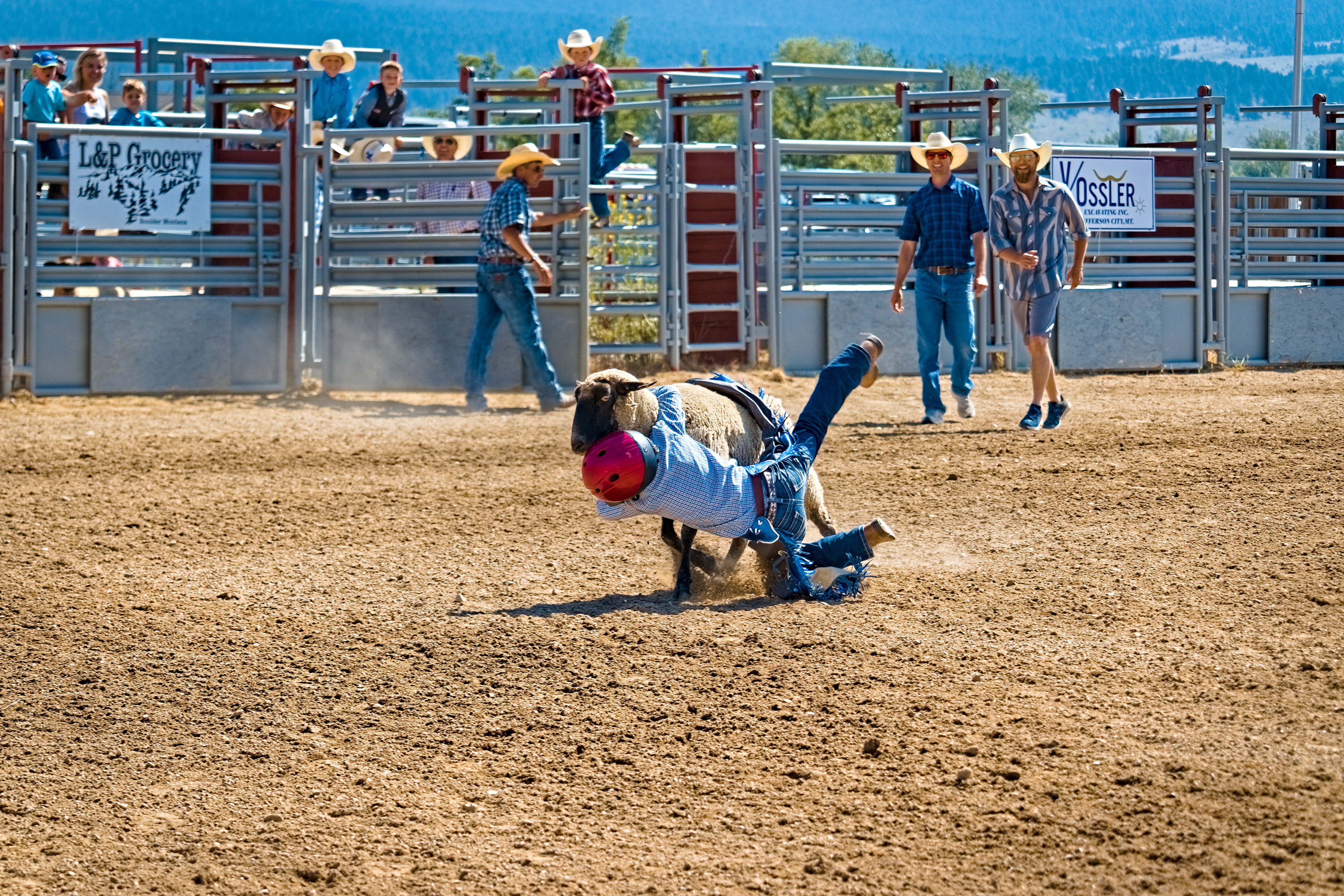 Mutton Busting - Jefferson County Fairgrounds