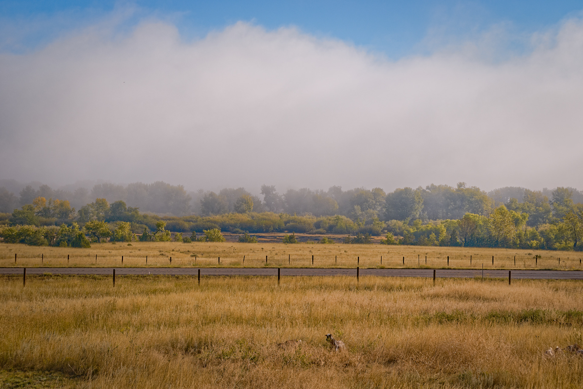 Morning Fog - Boulder, MT
