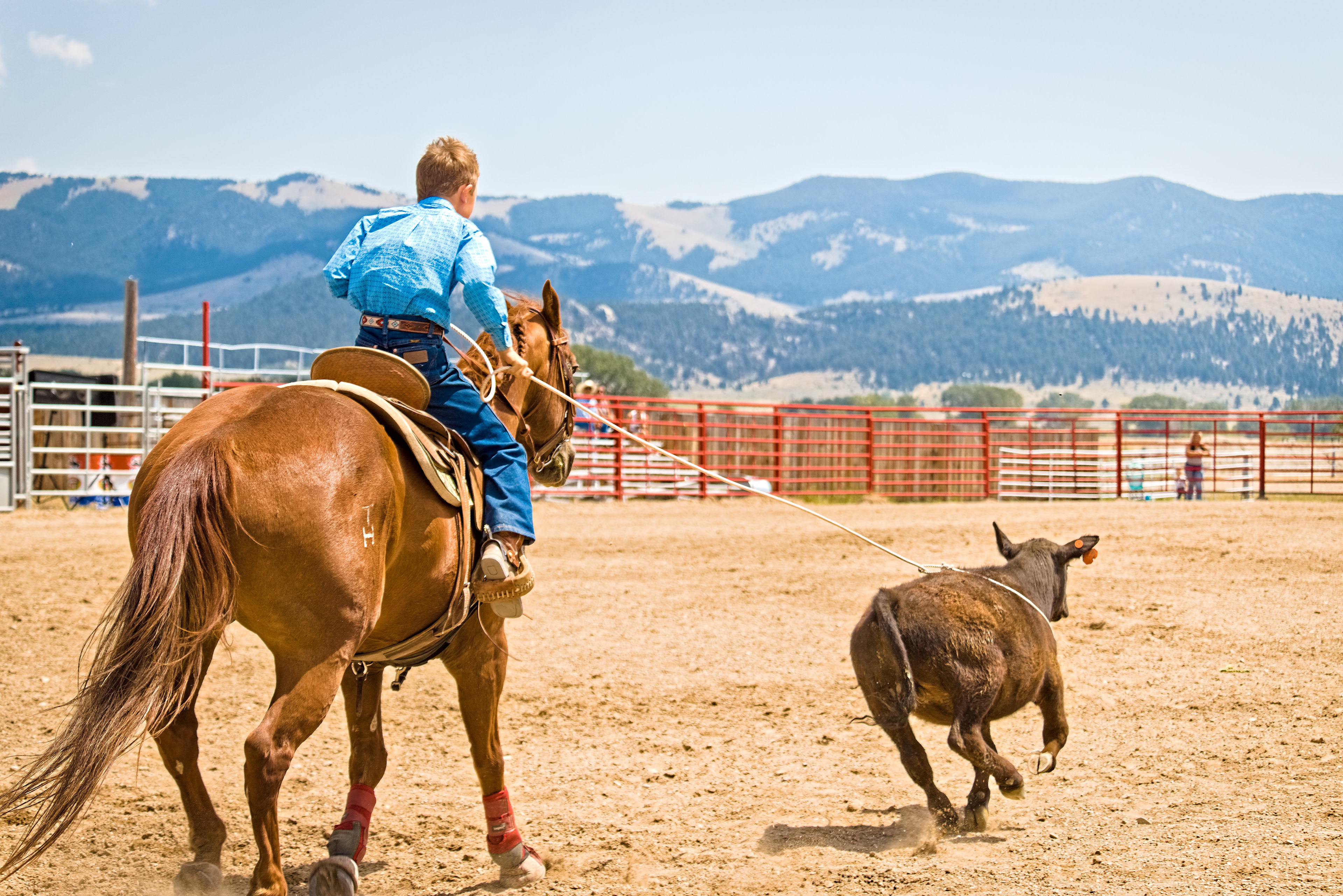 Youth Calf Roping - Jefferson County Fairgrounds