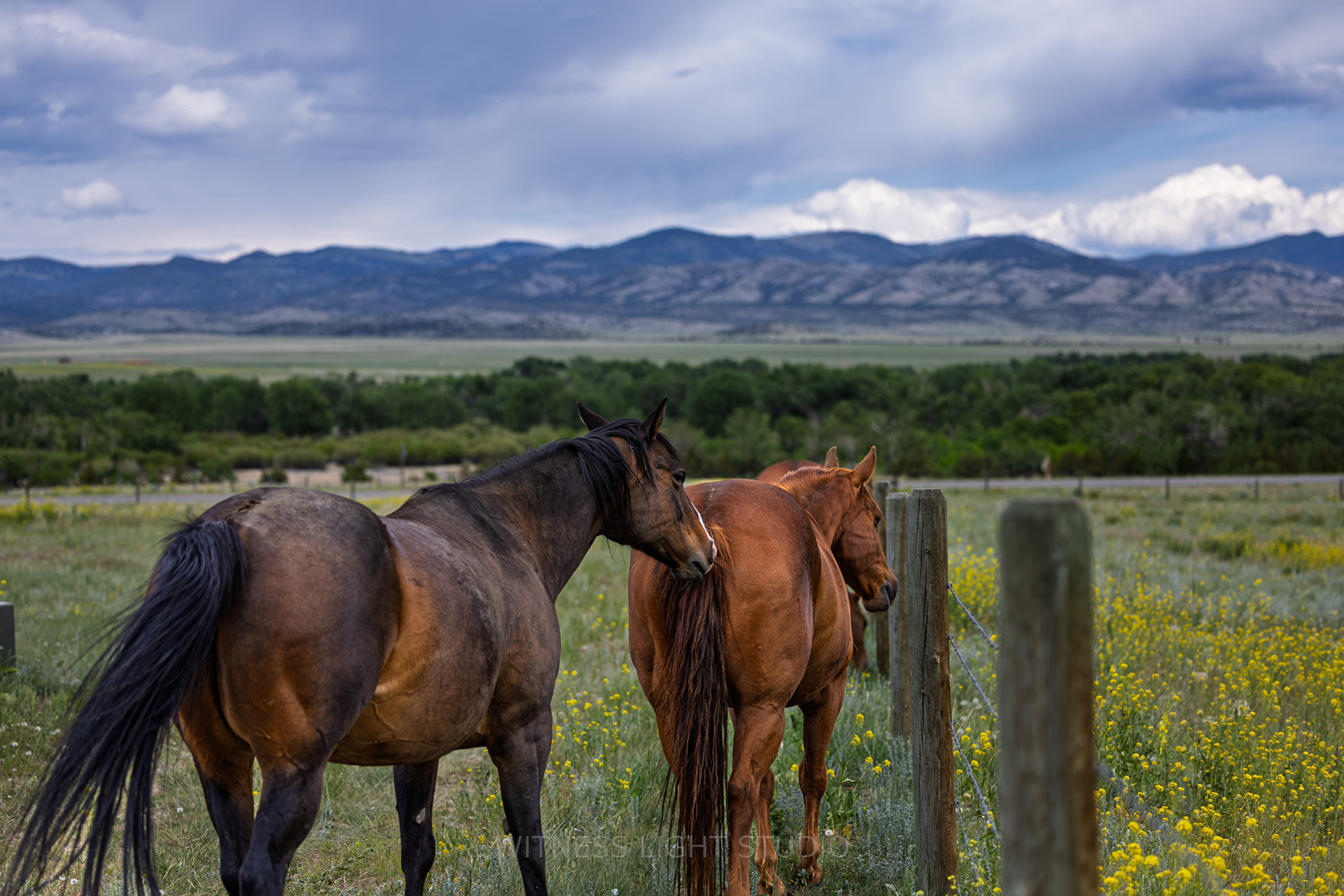 Boulder, MT