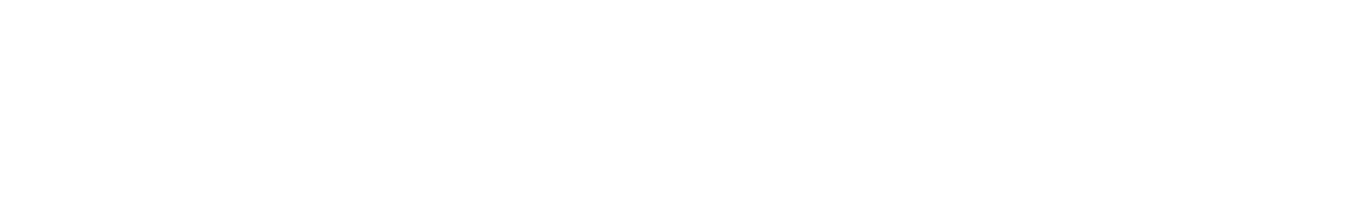 Witness Light Studio, LLC