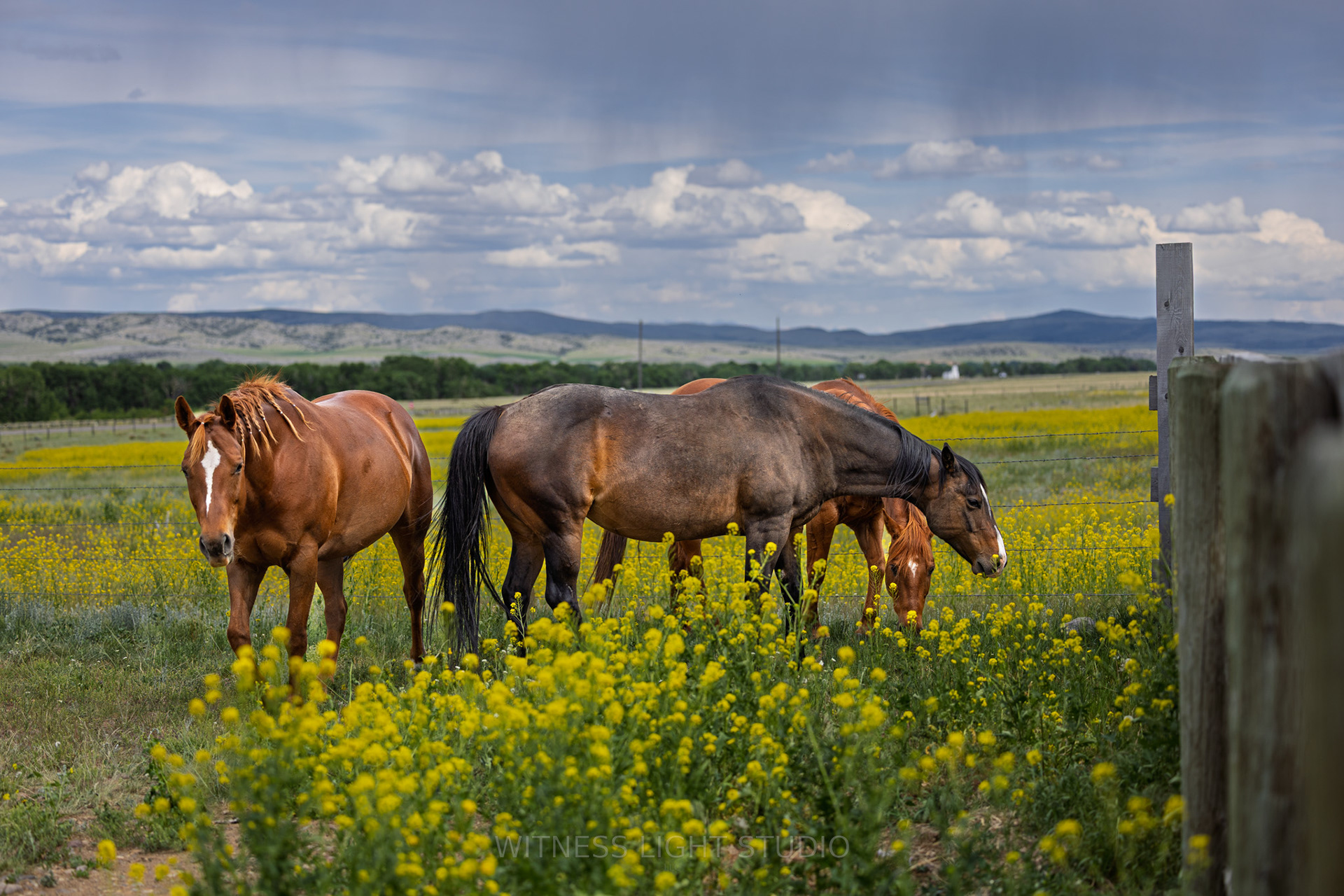 Boulder, MT