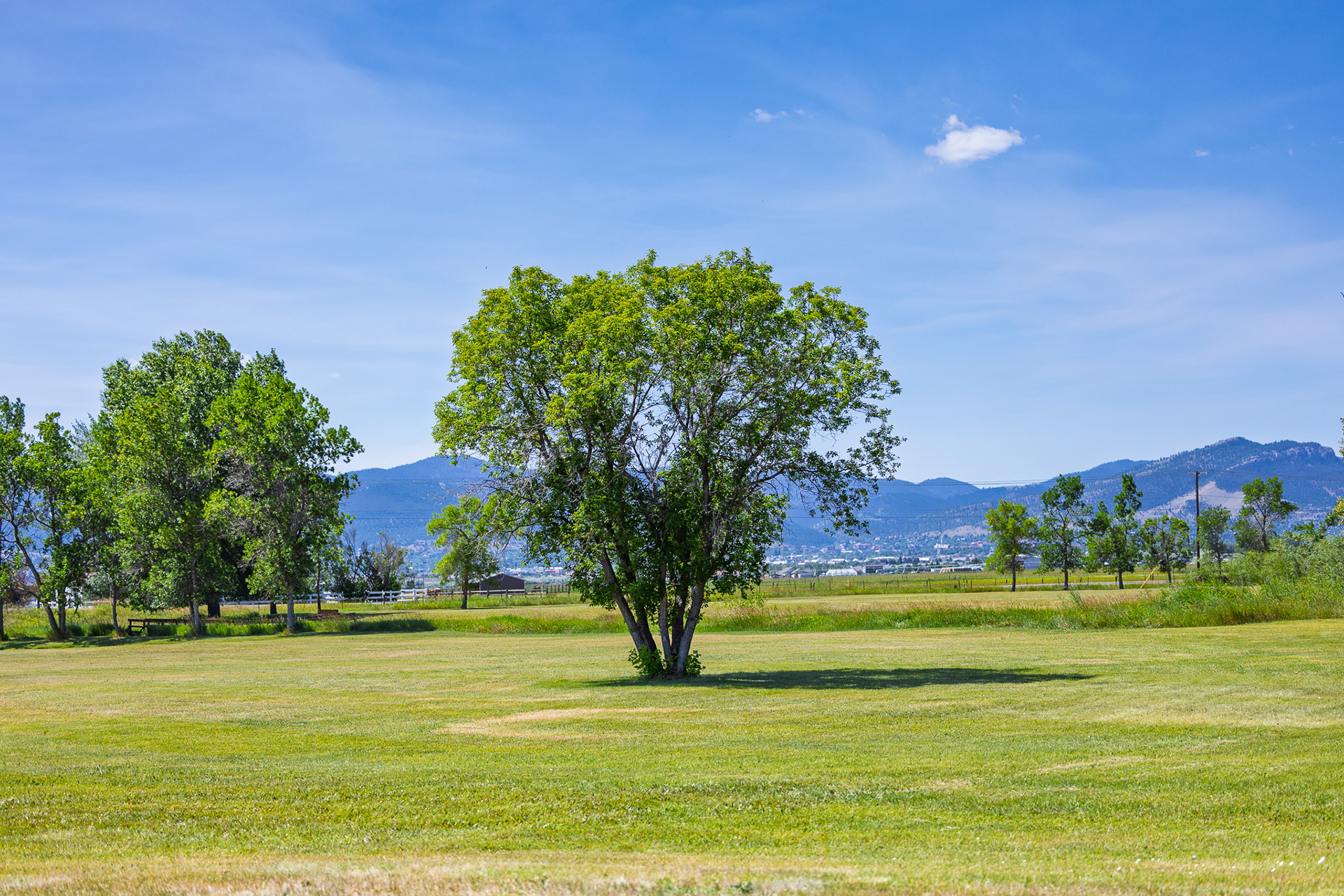 Helena, MT