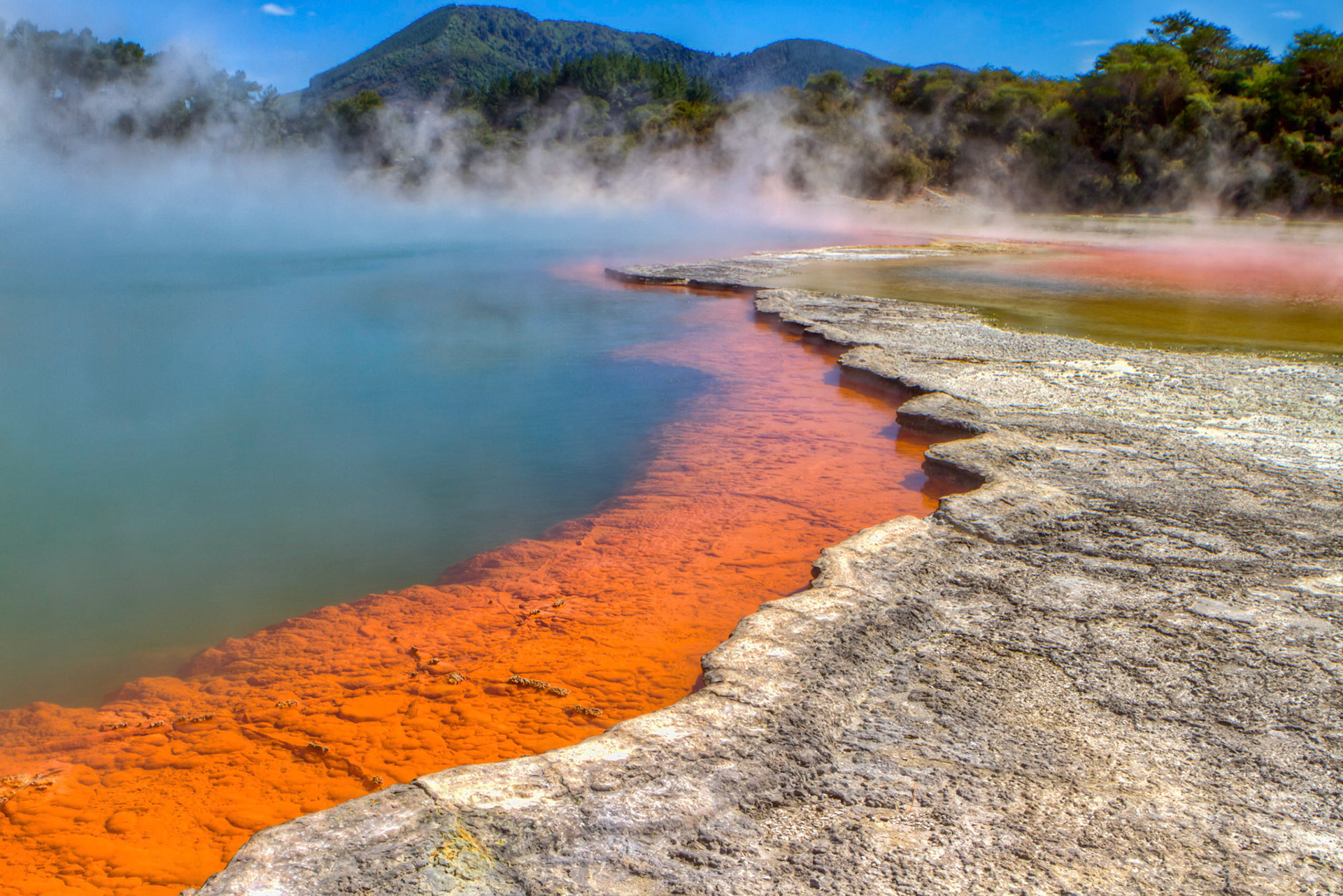Champagne Pool (2012)