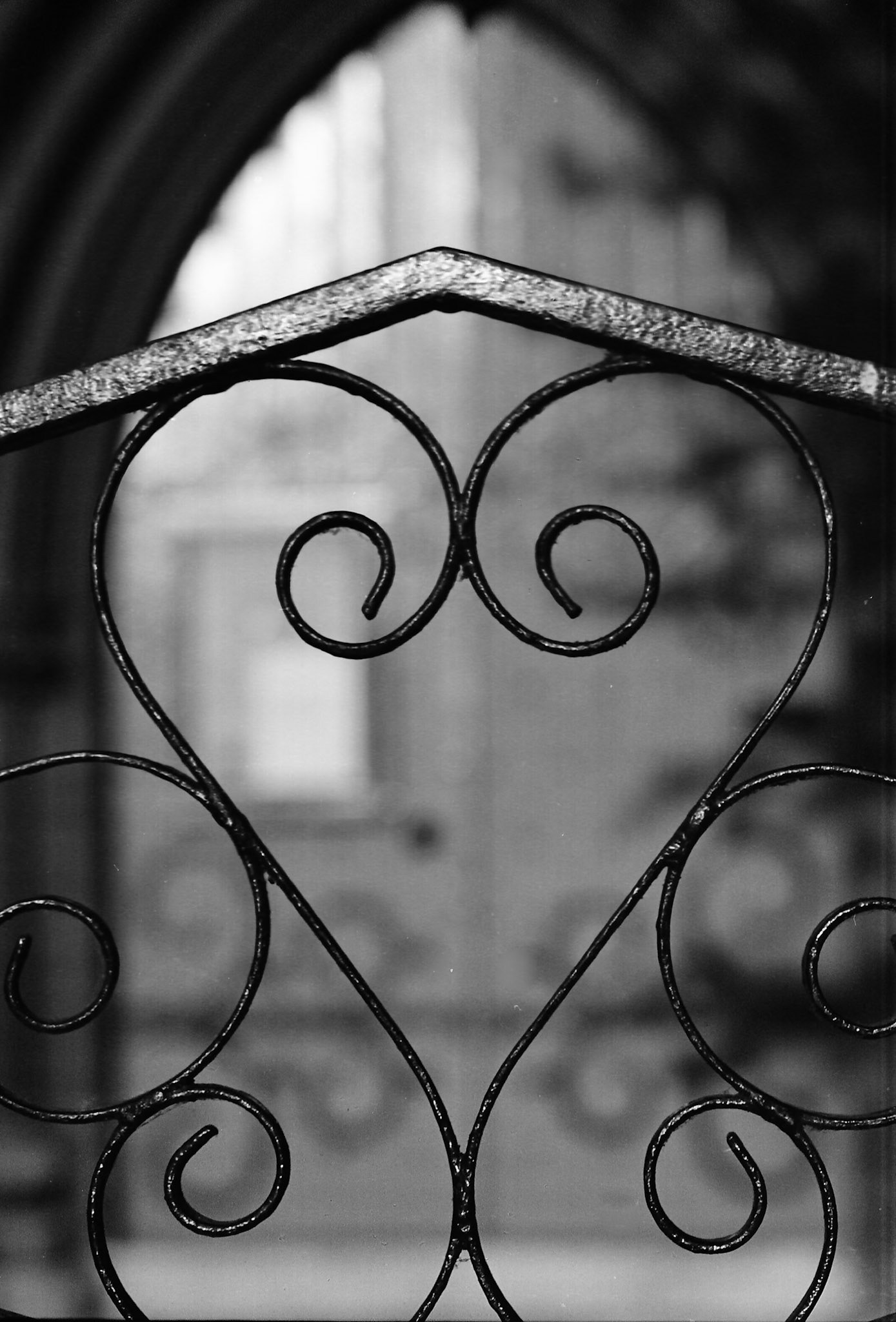 Heart (2013 - Ilford XP2)