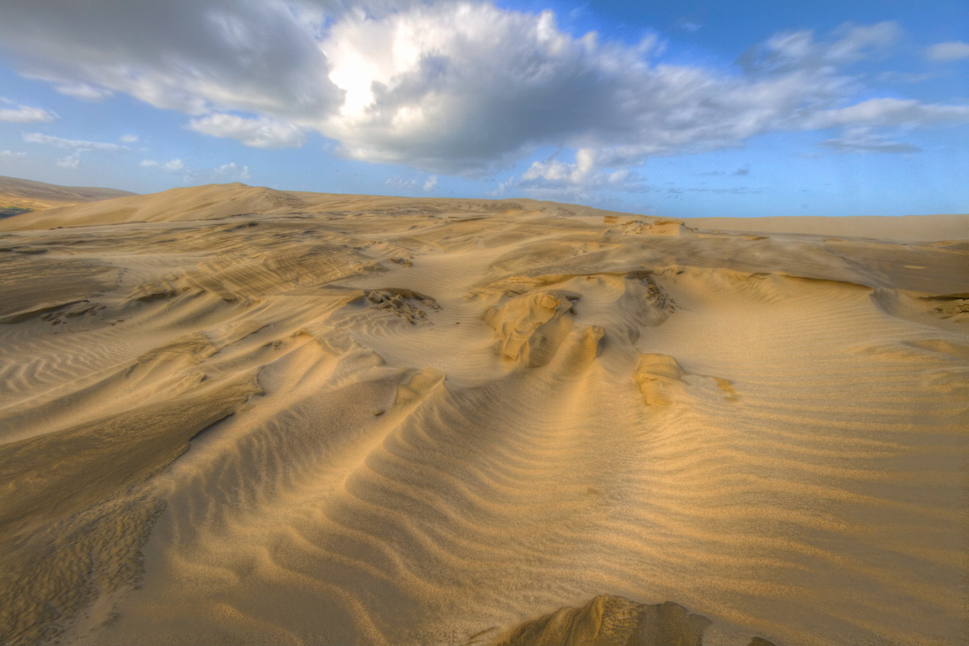 Te Paki Sands (2012)