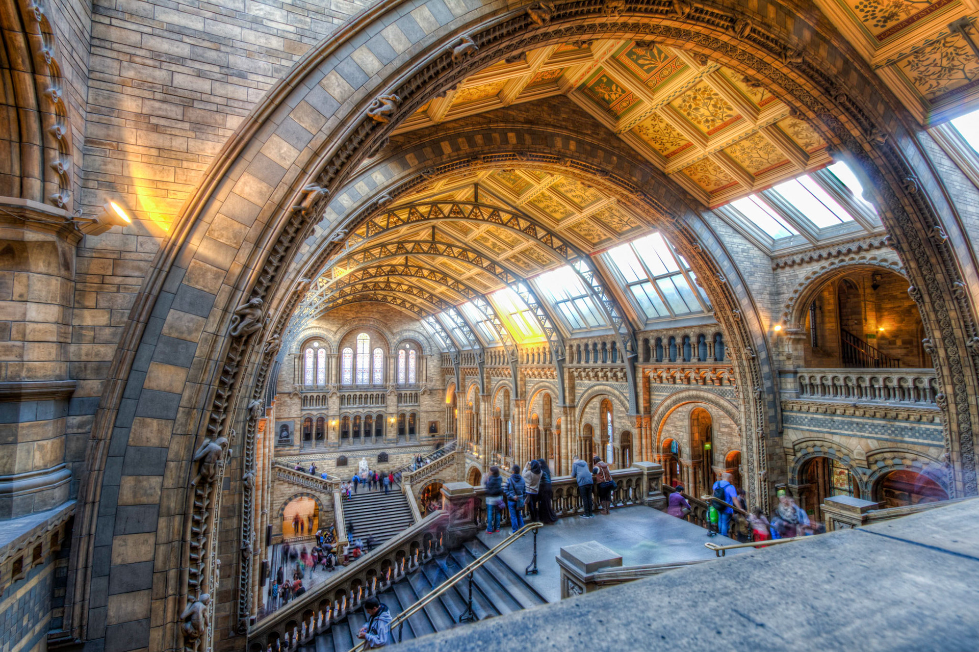 Natural History Museum, London (2014)