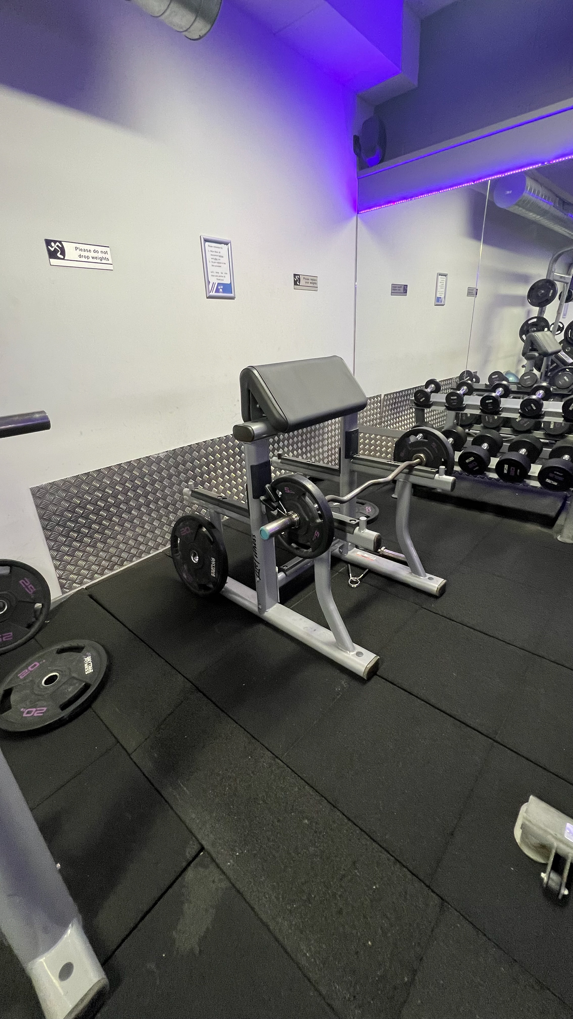 preacher curl