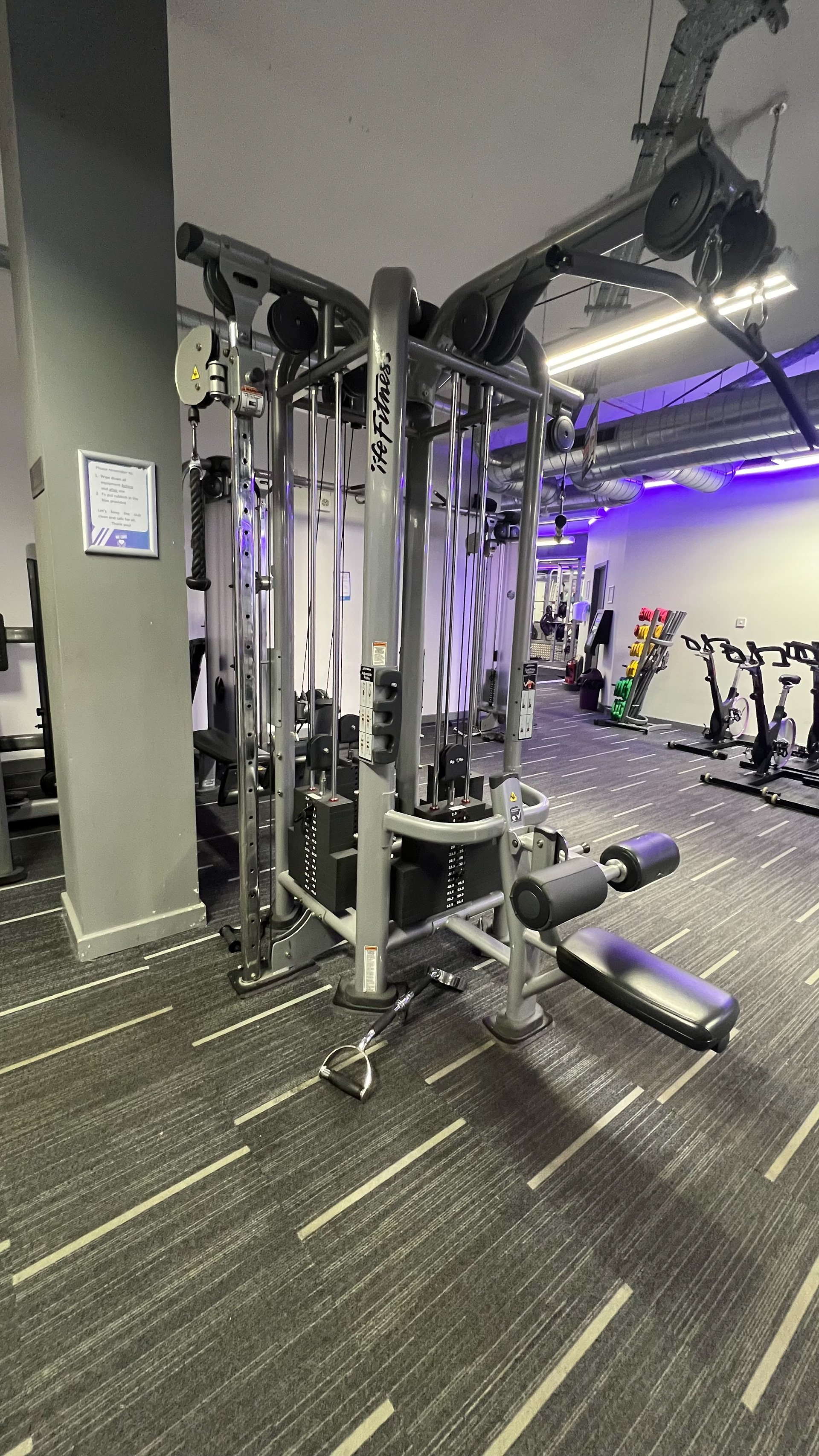lat pulldown / cable curl