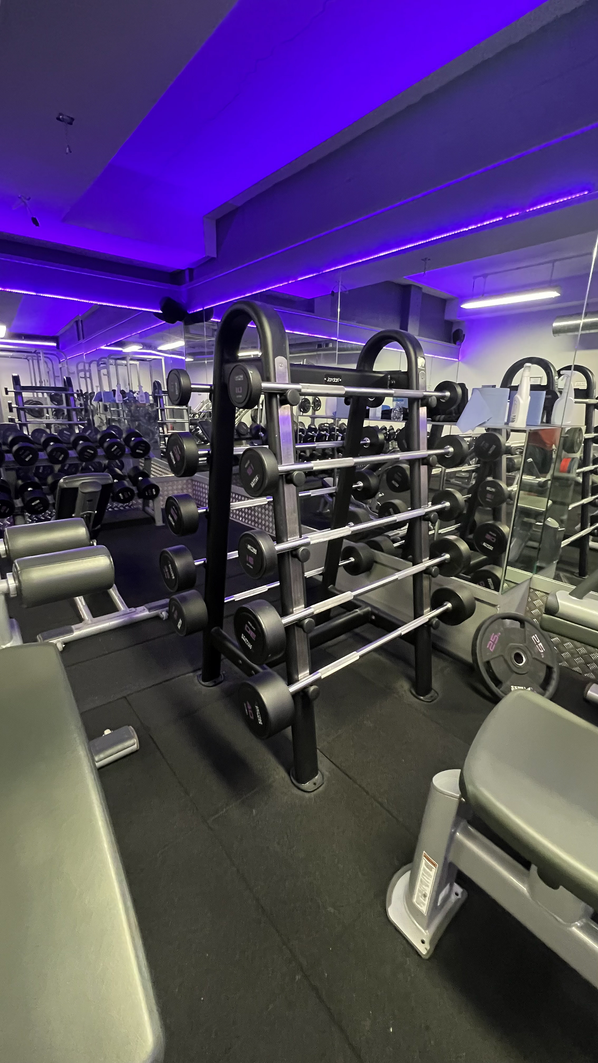 fixed barbells