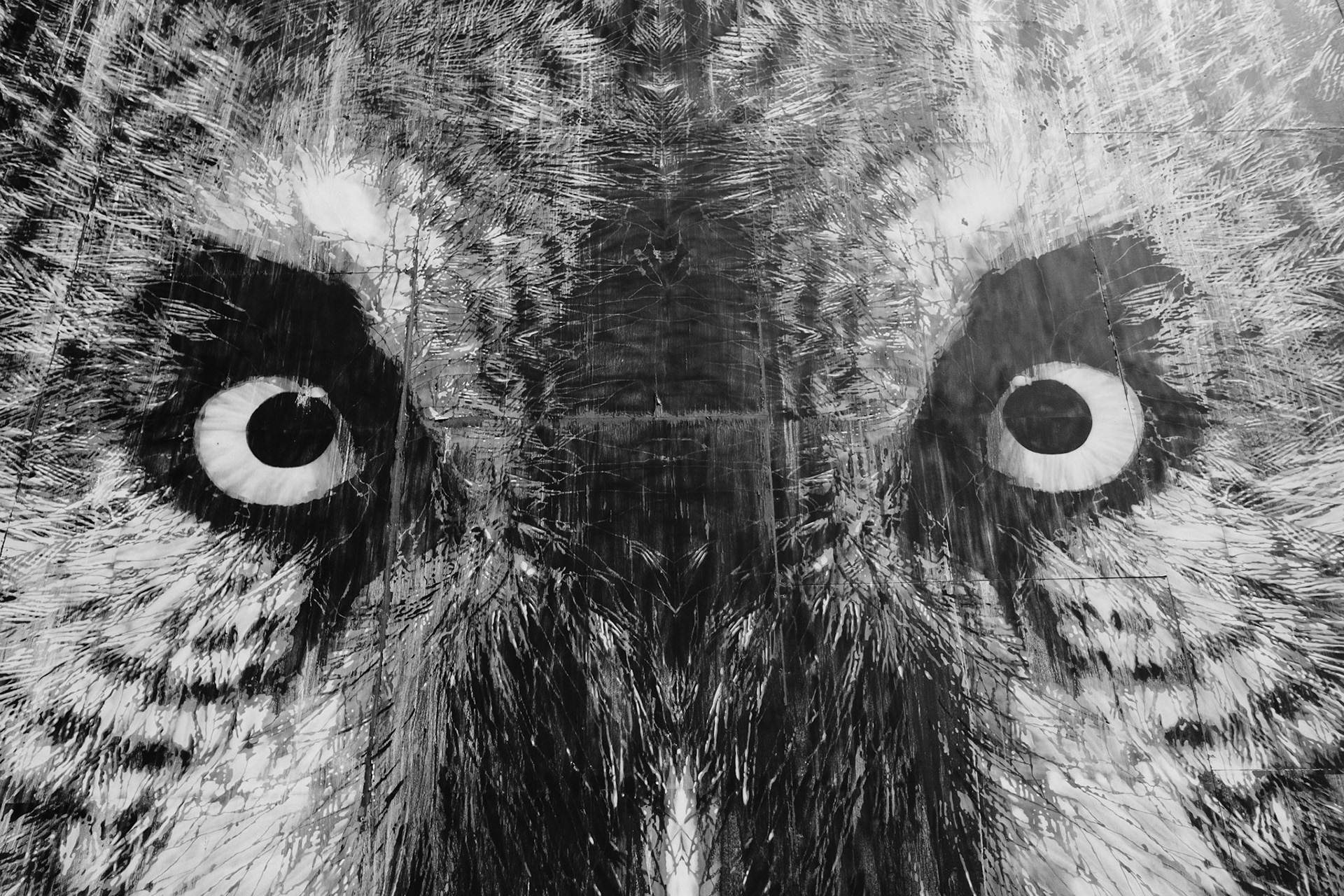 Vision
